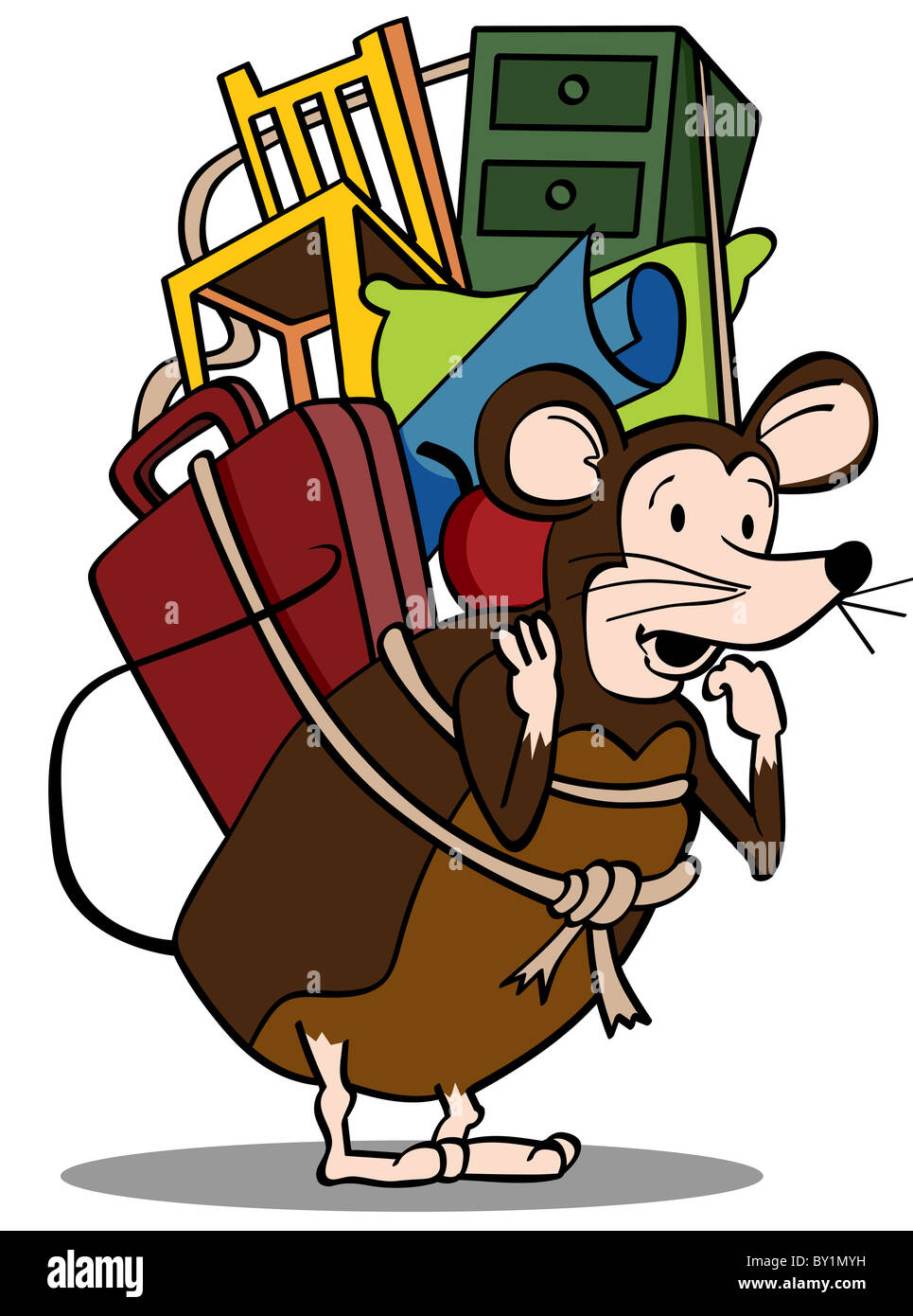 An image representing a Pack Rat Stock Photo Alamy