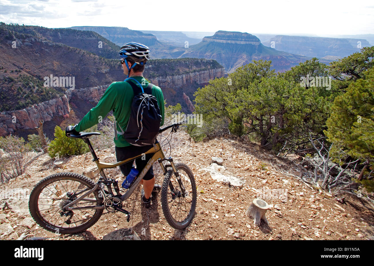 USA, Arizonia, Grand Canyon north rim, Kaibab National Forest. The vast expanse of national park