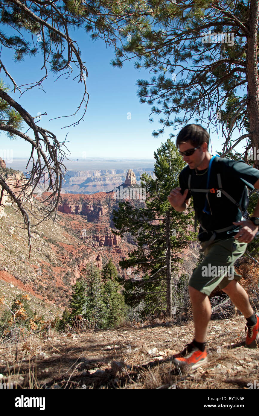 USA, Arizonia, Grand Canyon north rim, Kaibab National Forest. The vast open national park area