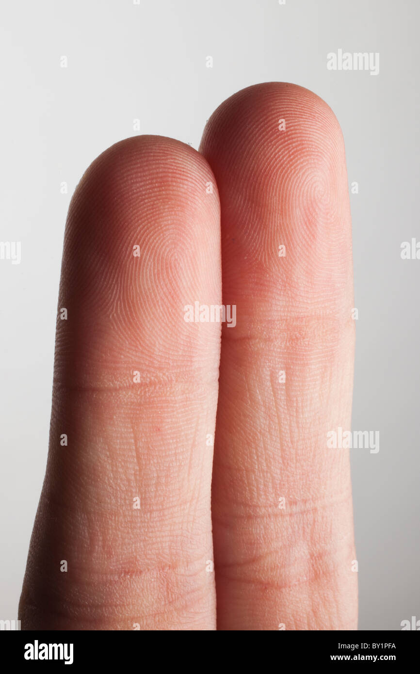 A close up of 2 fingers with fingerprint swirls visible Stock Photo
