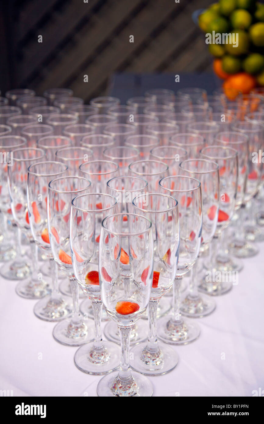 Wedding Flutes, contemporary Crystal Champagne Glasses arranged with