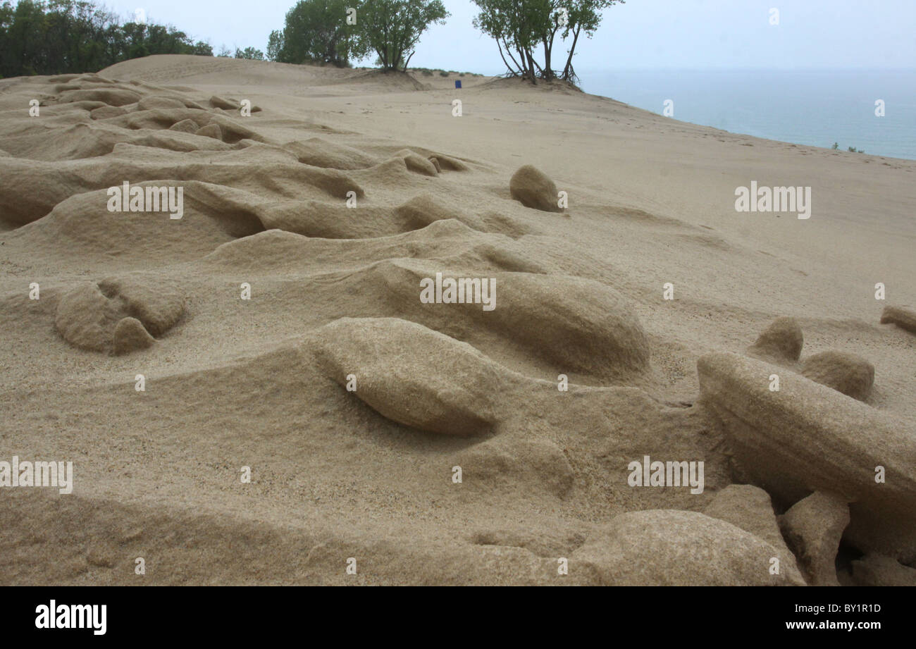 Windblown sand Indiana Dunes national lakeshore Stock Photo