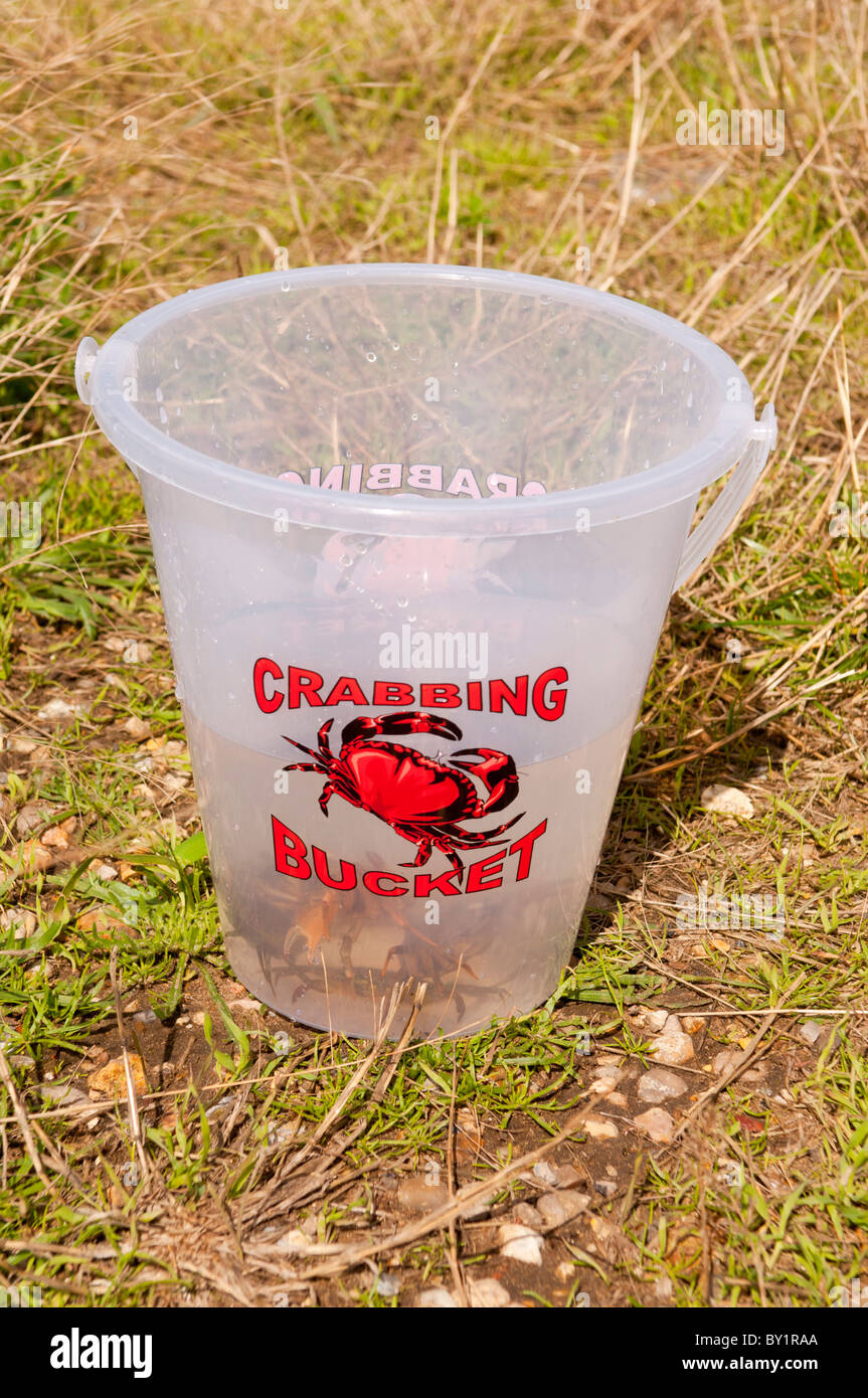 Crabbing bucket complete crabs inside hires stock photography and