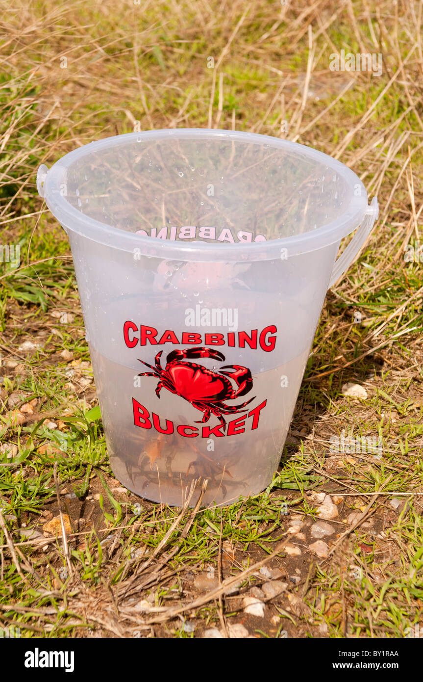 A crabbing bucket complete with crabs inside Stock Photo