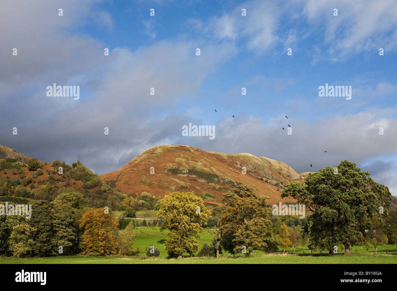 Ochil Hills, near Stirling, Clackmannanshire, Scotland Stock Photo