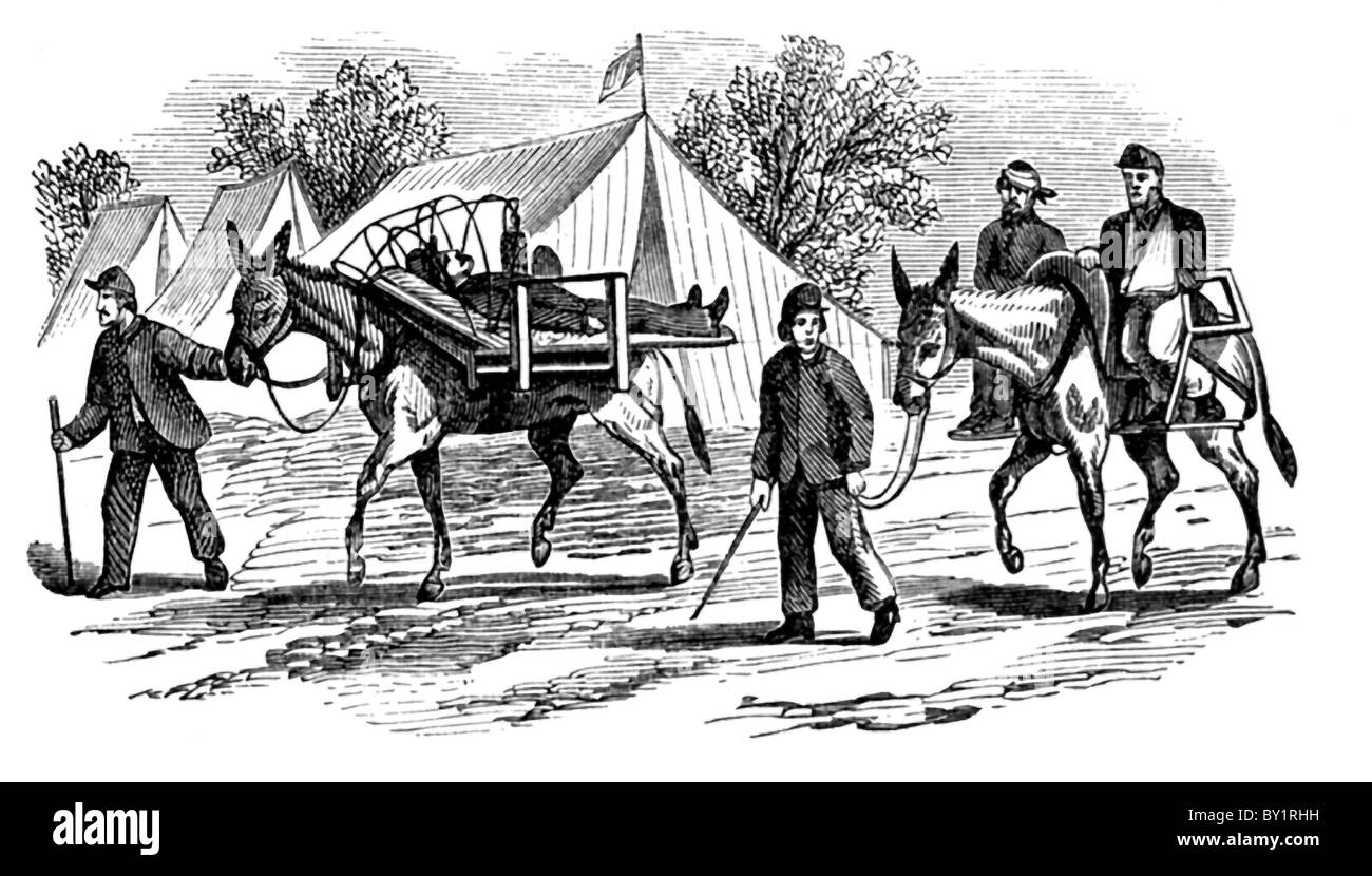 This 1866 engraving shows the method of carrying sick and wounded men on mules during the early years of the U.S. Civil War. Stock Photo