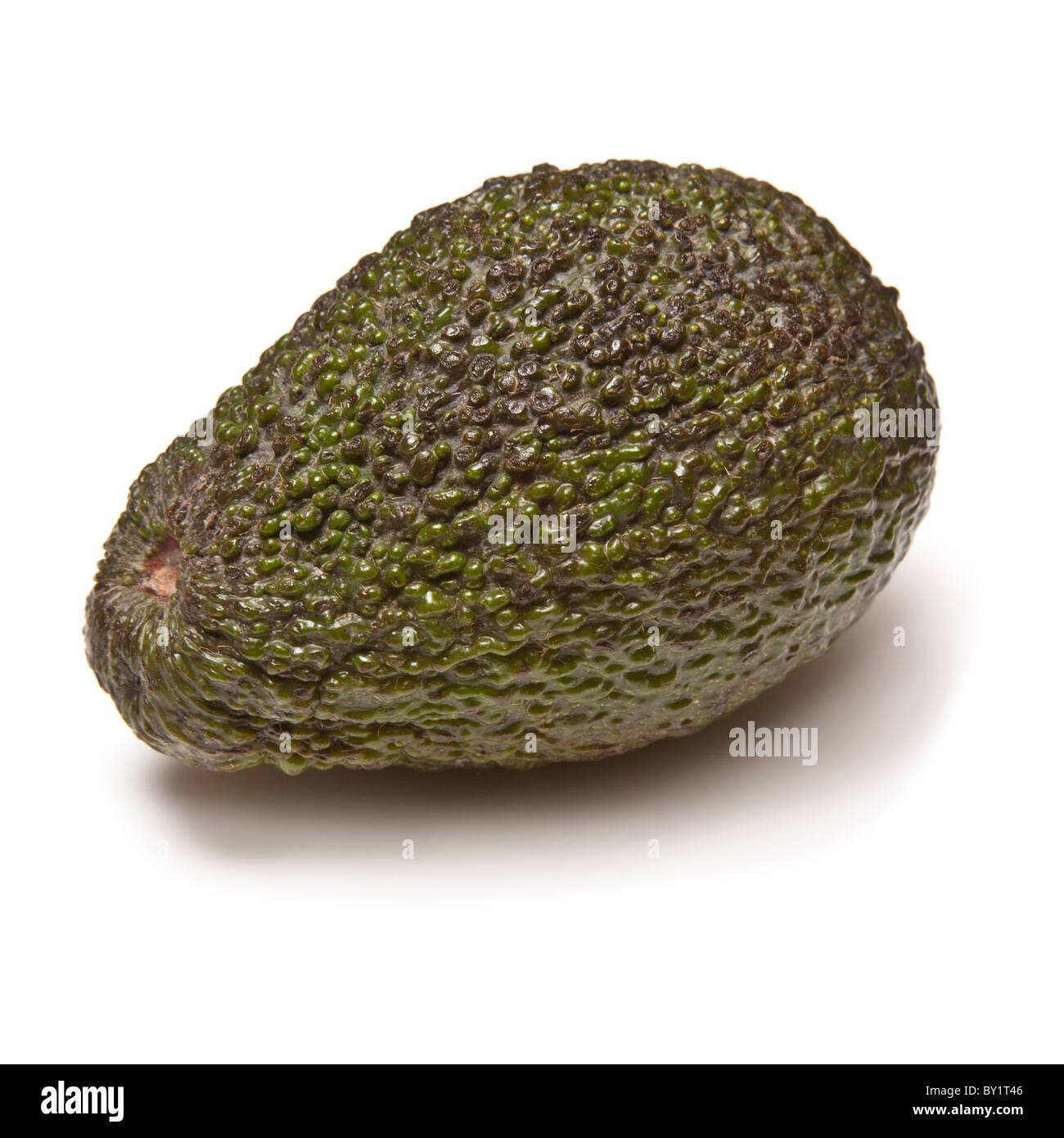 Whole avocado isolated on a white studio background. Stock Photo