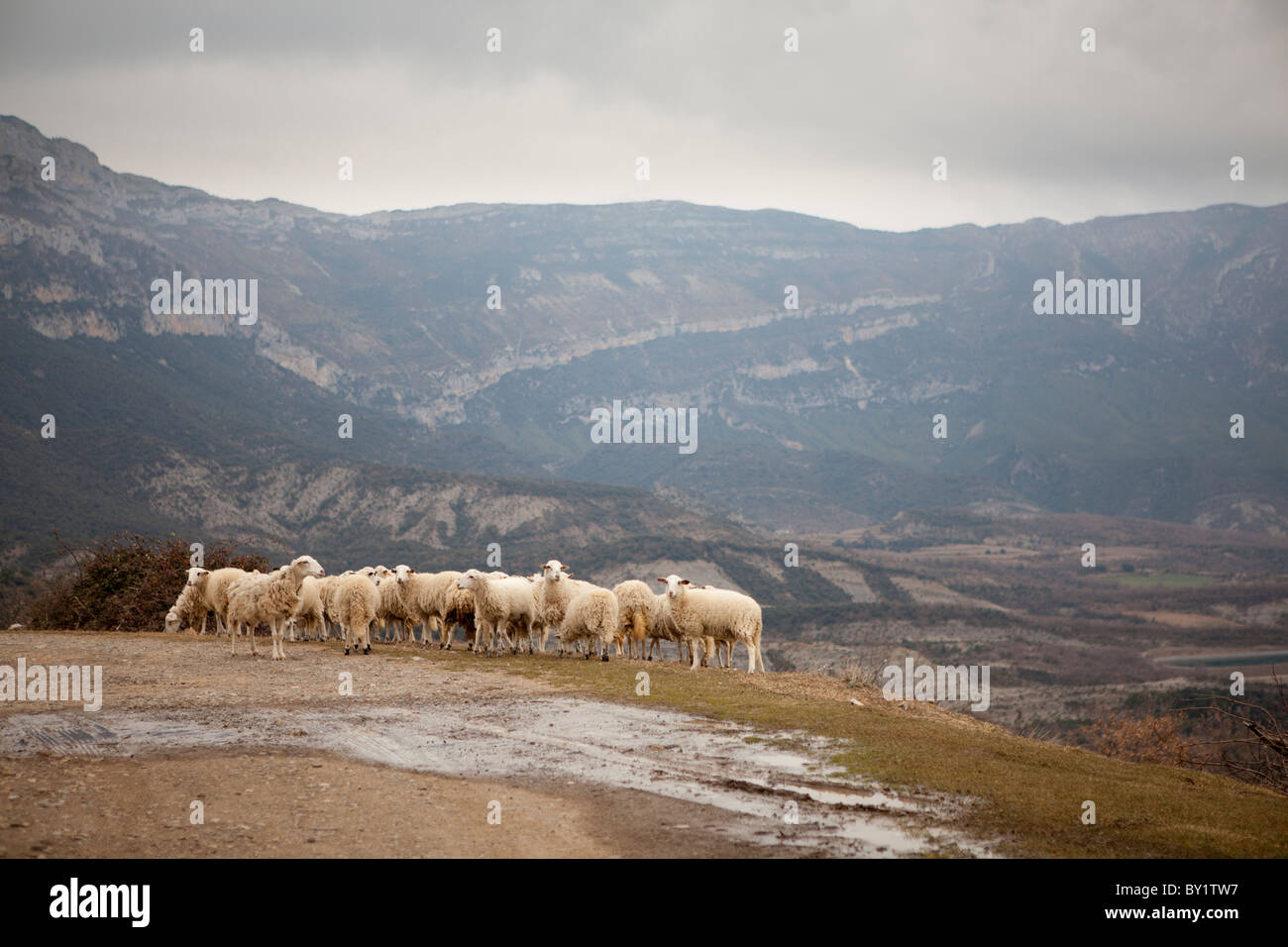 La Mula, Valley of La Fueva, Huesca, Spain Stock Photo