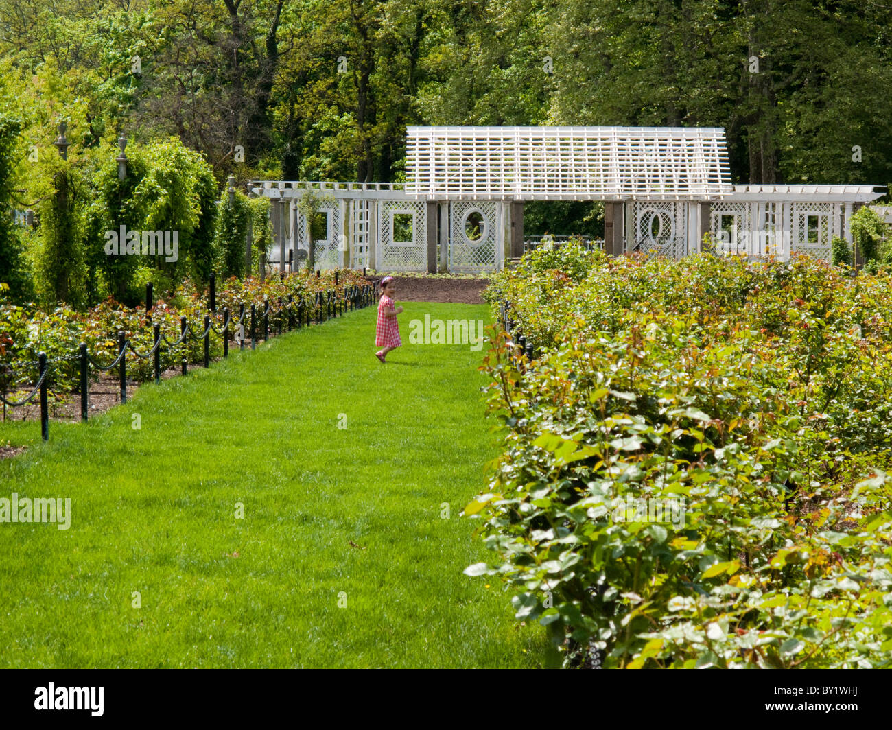 Cranford Rose garden Brooklyn Botanic Garden Stock Photo Alamy