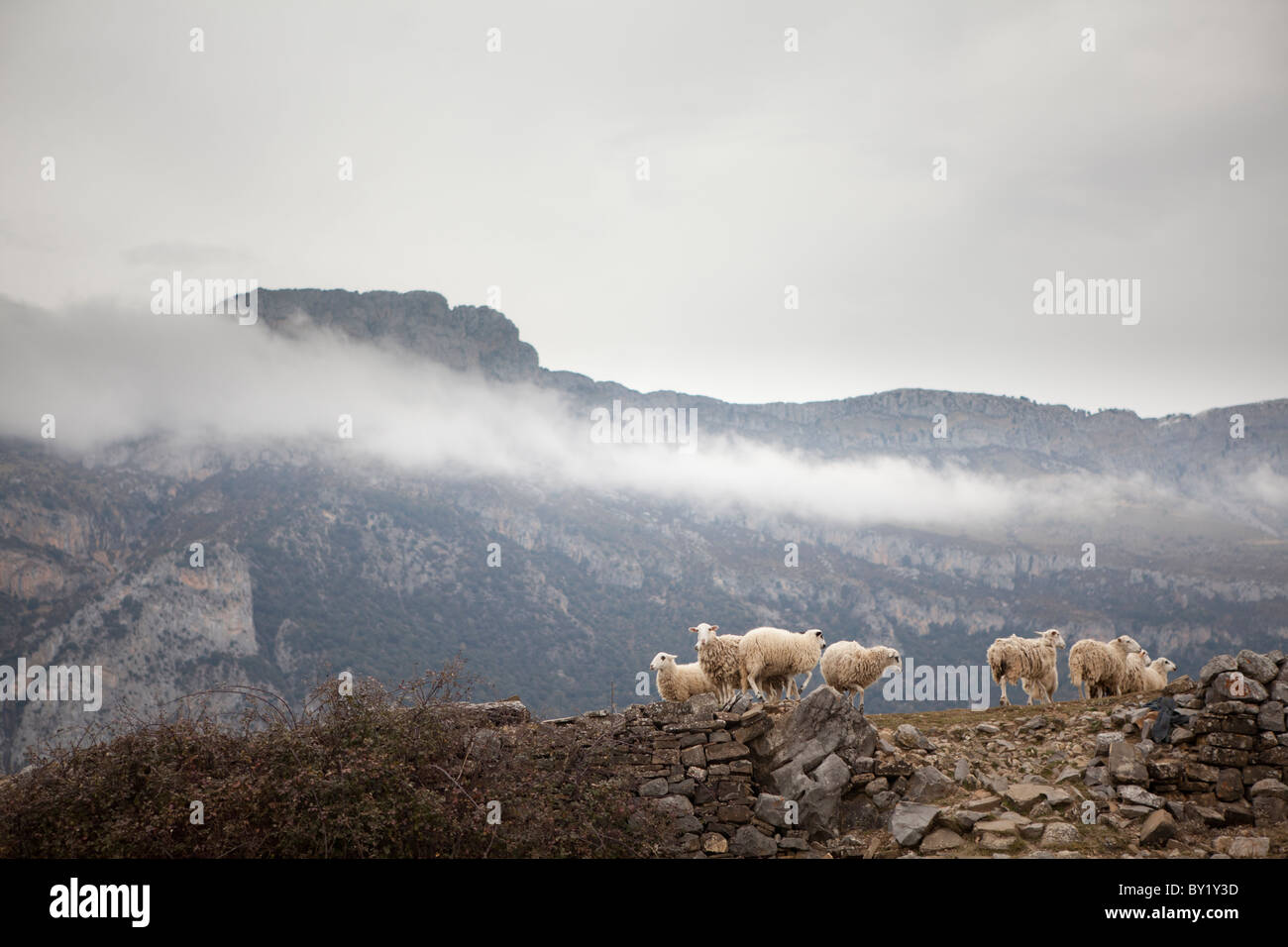 La Mula, Valley of La Fueva, Huesca, Spain Stock Photo