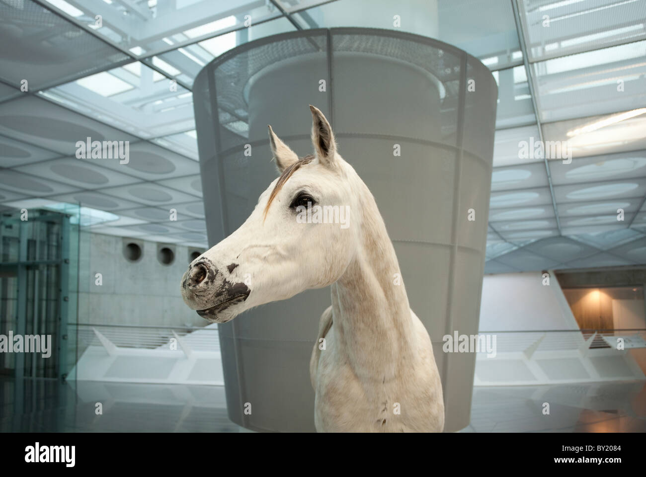 Germany,Stuttgart, Mercedes-Benz Museum, a stuffed horse representing the start of transportation Stock Photo