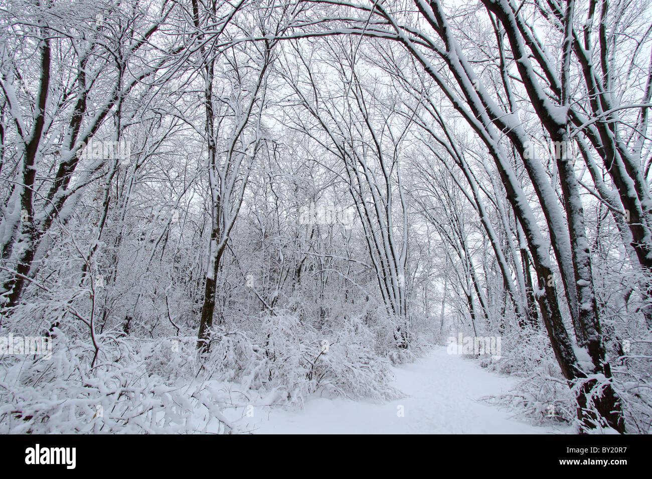 Rock Cut State Park Illinois Stock Photo Alamy