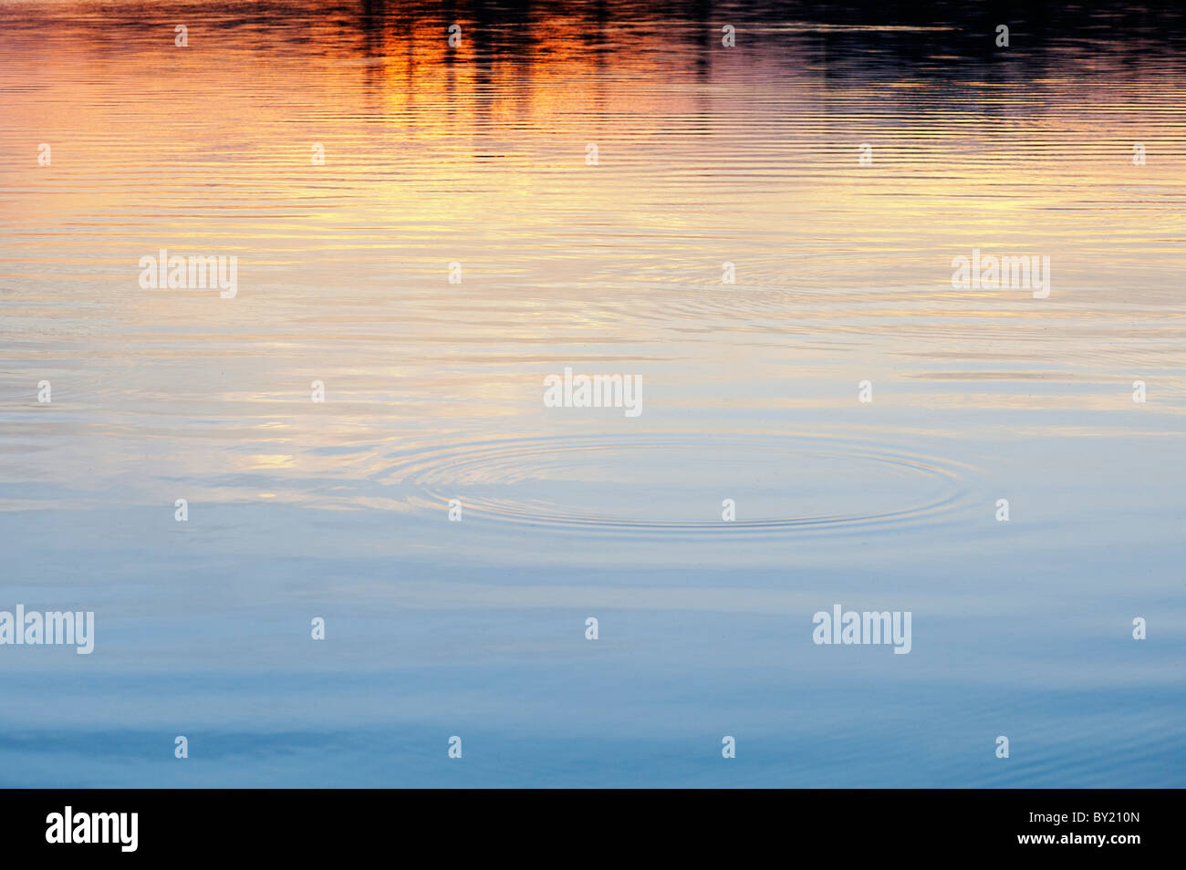 Golden water ripples at sunset on a lake in India Stock Photo