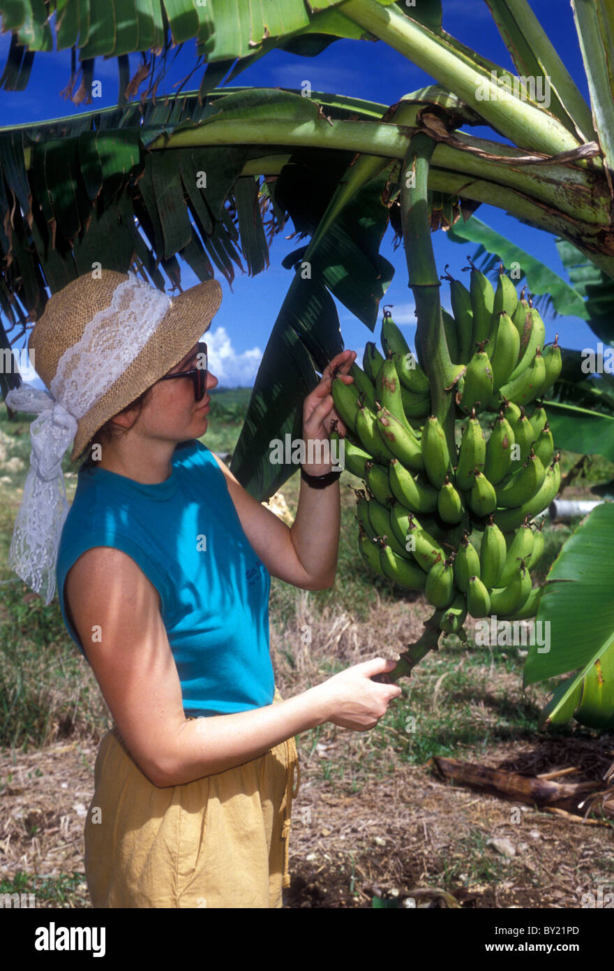 French woman, French, woman, adult woman, bananas, banana tree, banana
