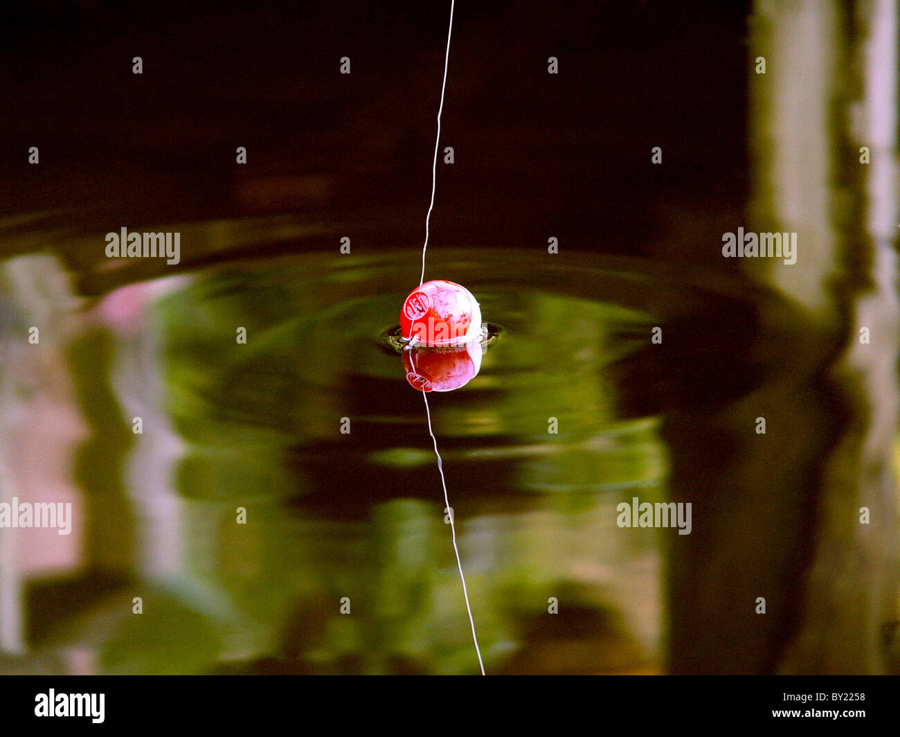 Fishing line with bobber floating in a lake Stock Photo - Alamy