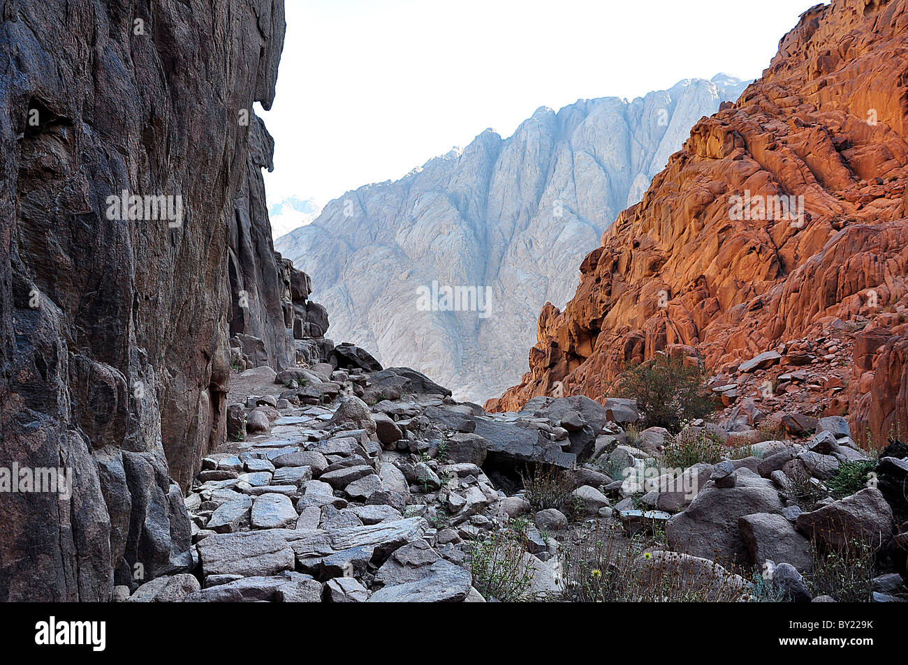 Rocky pass on Mount Sinai, Egypt. Stock Photo