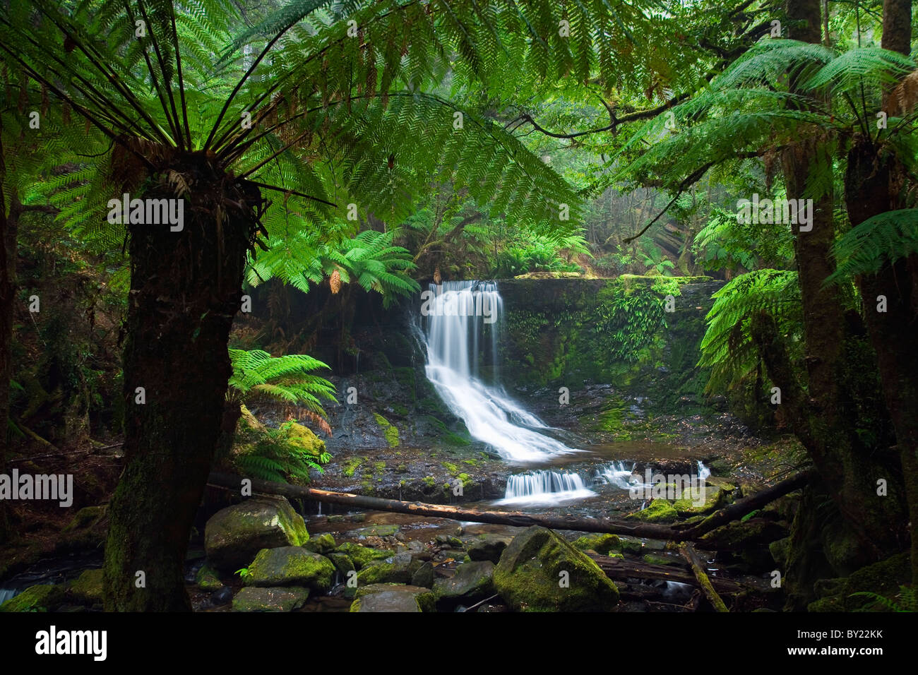 Australia, Tasmania, Mt Field National Park.  Horseshoe Falls. Stock Photo
