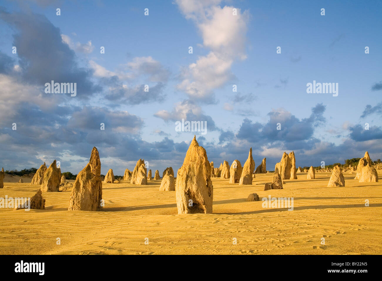 Australia, Western Australia, Cervantes, Nambung National Park.  Limestone pillars at dusk in the Pinnacles Desert. Stock Photo