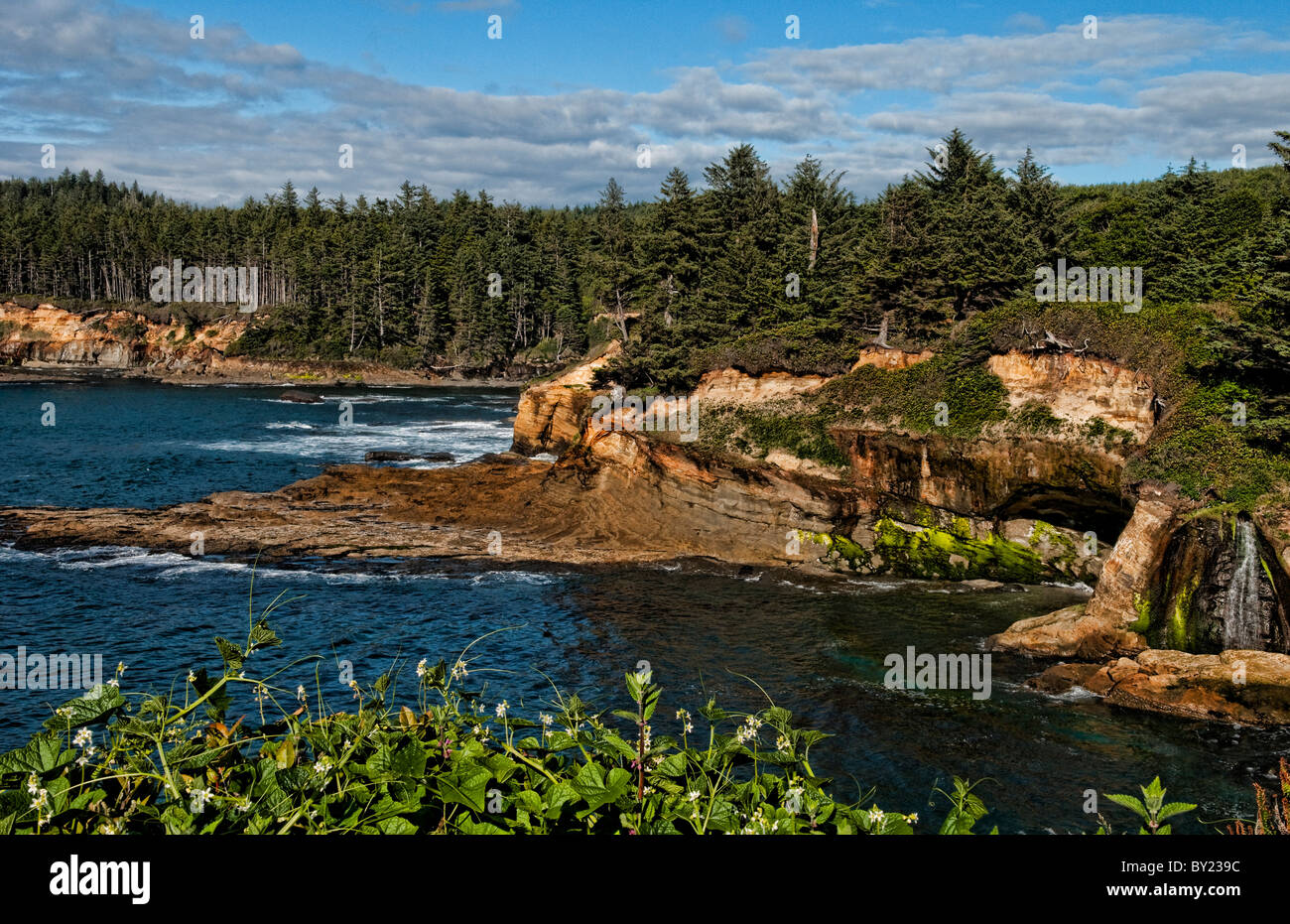 Depoe Bay Oregon scenic rocks water coast Oregon Stock Photo Alamy