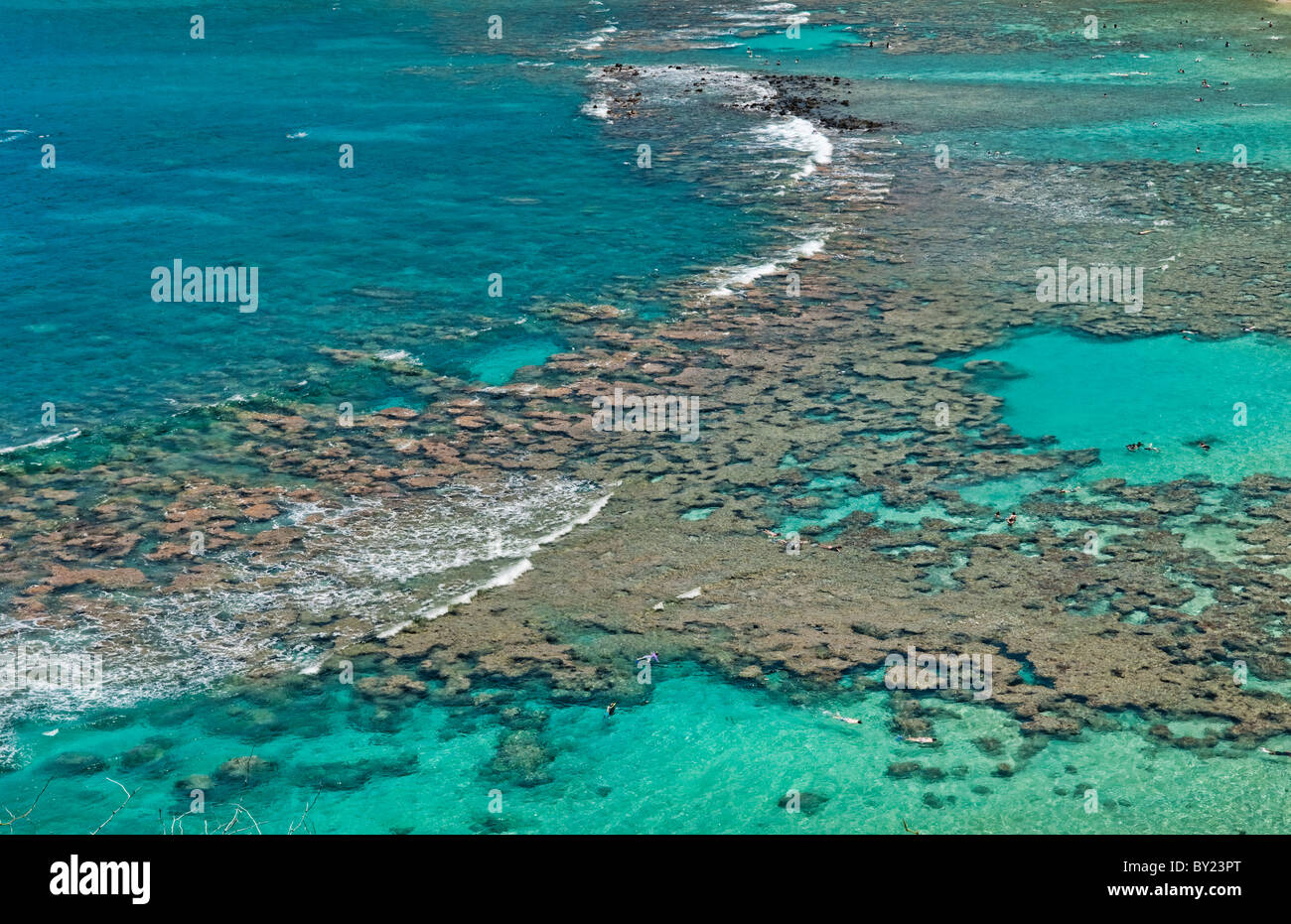Aerial snorkeler hi-res stock photography and images - Alamy