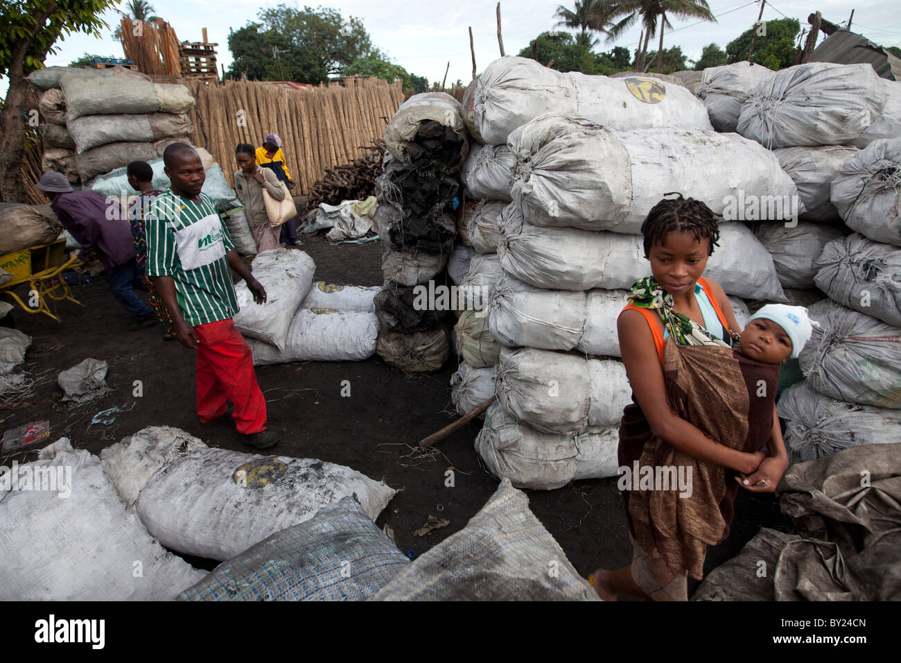MAPUTO, MOZAMBIQUE, May 2010 : Charcoal on sale in the city's markets