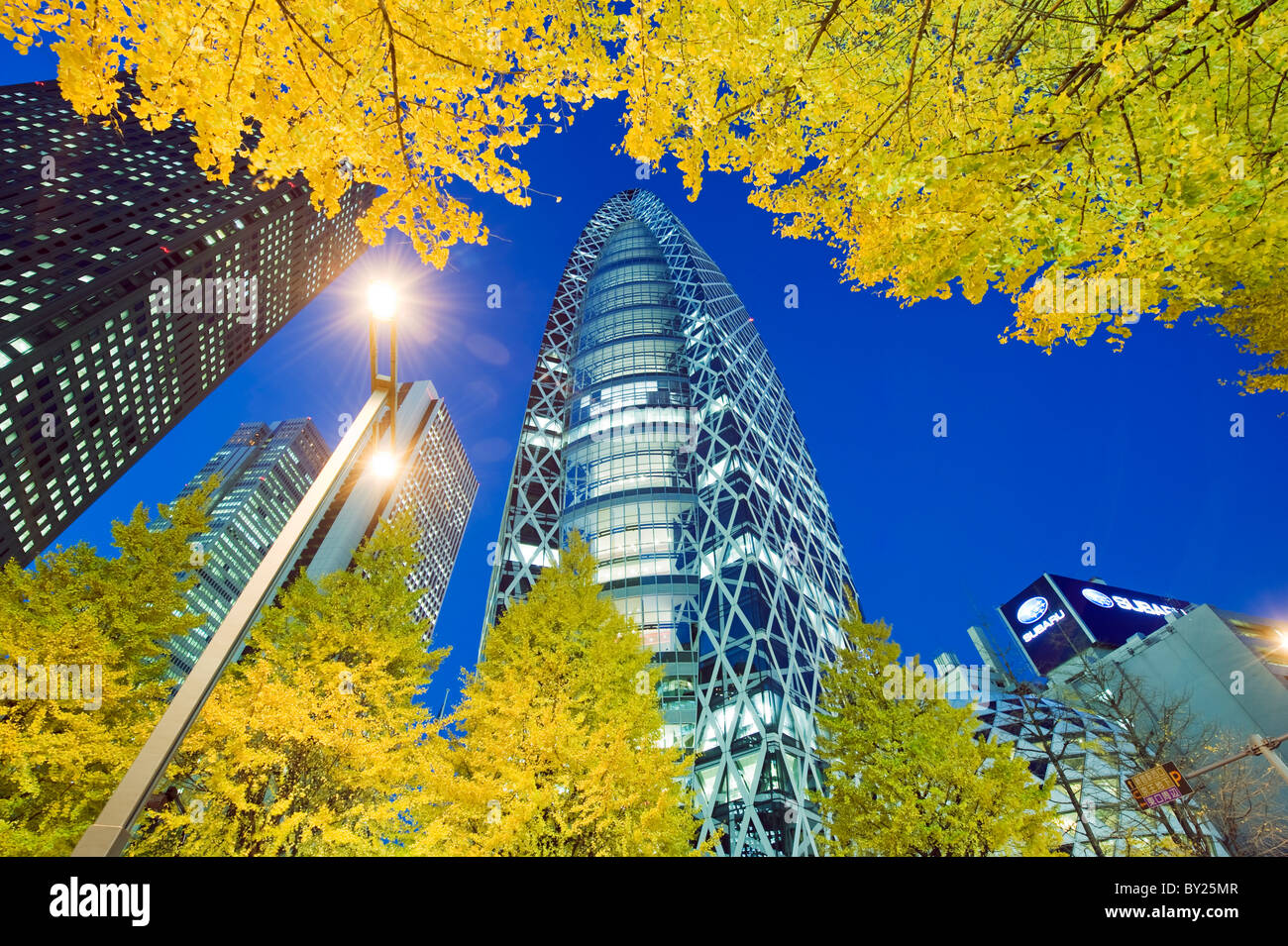Asia, Japan, Tokyo, Shinjuku, Tokyo Mode Gakuen Cocoon Tower, Design School building, yellow ginkgo leaves Stock Photo