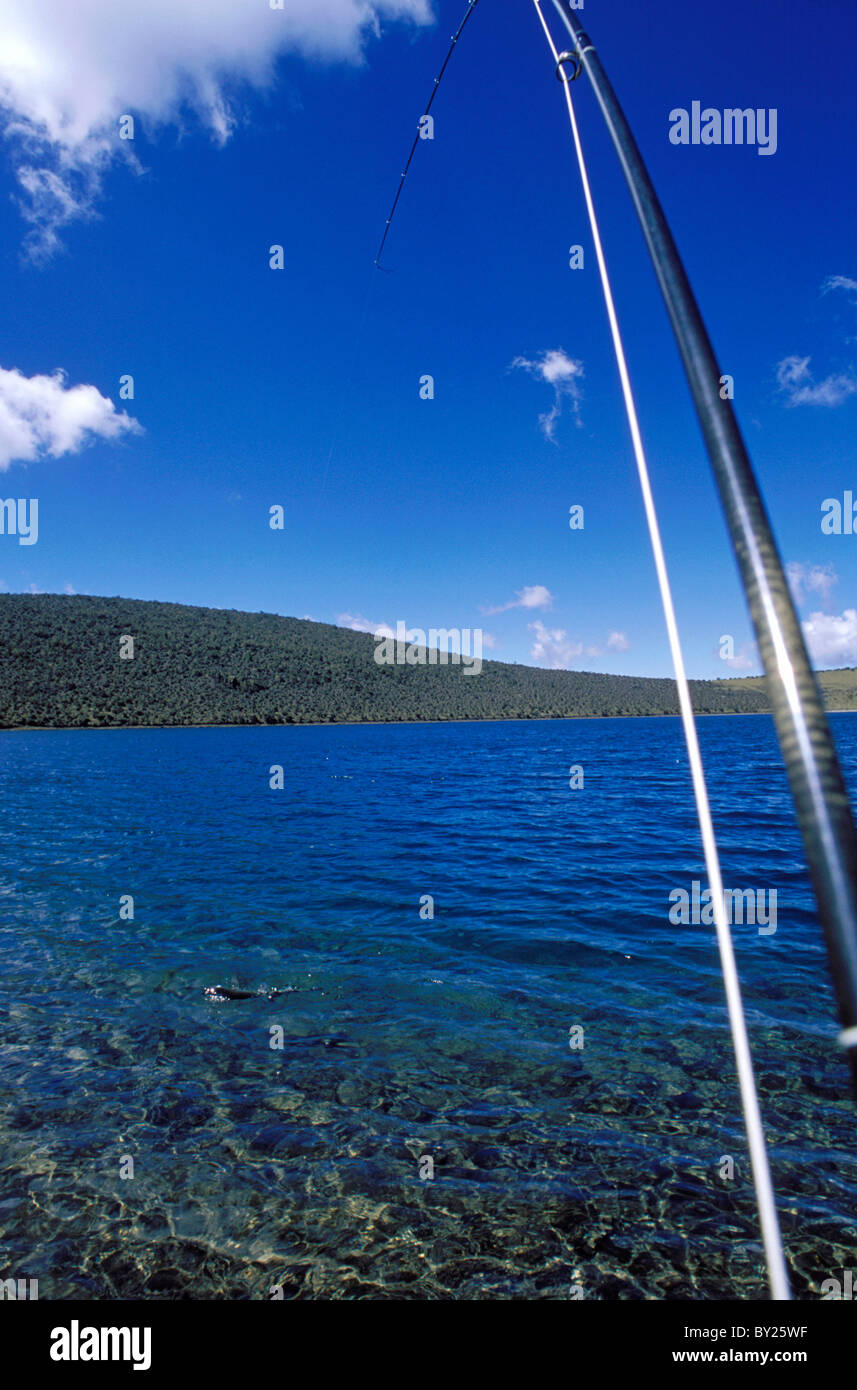 Kenya, Mount Kenya. Playing a good rainbow trout caught on Lake Alice Stock Photo Alamy