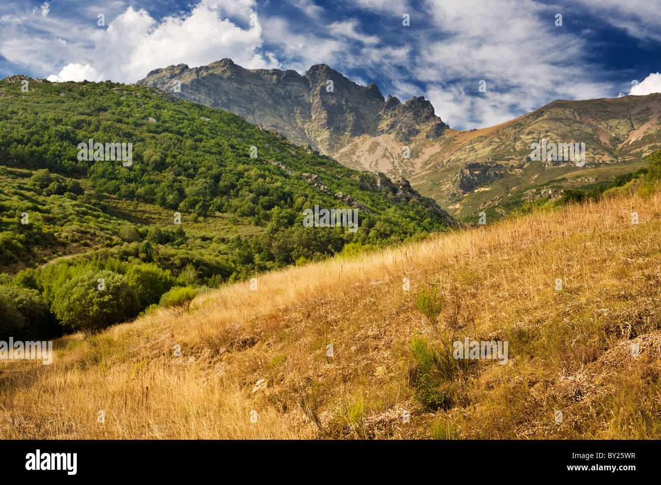 Looking towards Curavacas, the highest peak in the Palentine Mountains, part of the Cantabrian Mountain Range of northern Spain Stock Photo