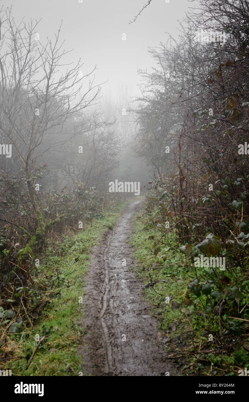 Rural foggy hi-res stock photography and images - Alamy
