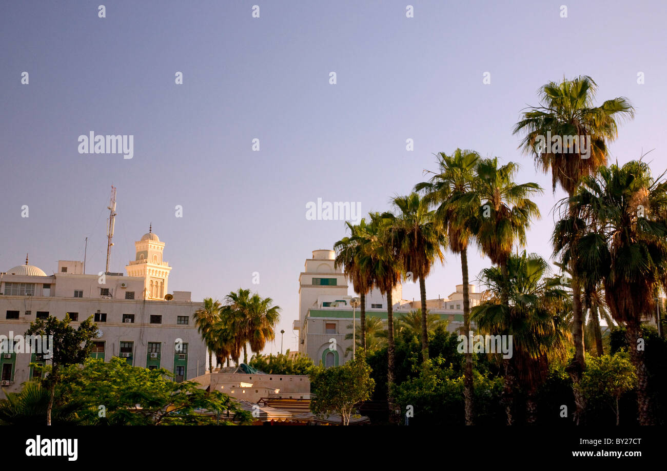 Tripoli, Libya; Palm trees, an important tree in Nothern African countries, with a fraction of the cityscape Stock Photo