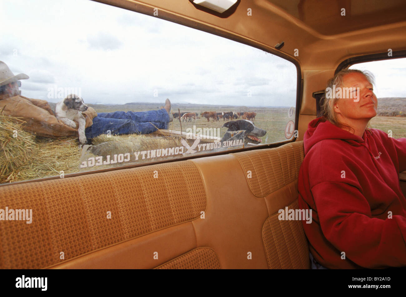 Female rancher and cowboy in truck, near Kinnear, Wyoming. Stock Photo