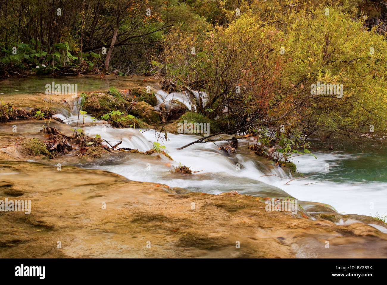Clear stream hi-res stock photography and images - Alamy