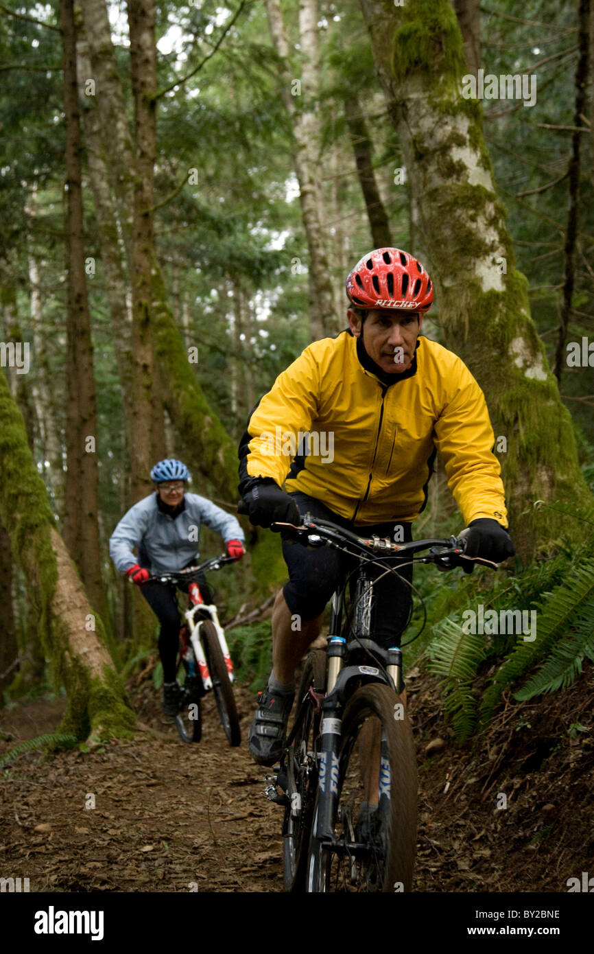 Single Track Riding Two mountain bikers out riding a single track trail through the forest ...