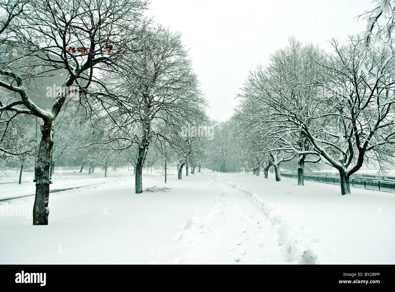 Street in Cambridge during a snow storm Stock Photo Alamy