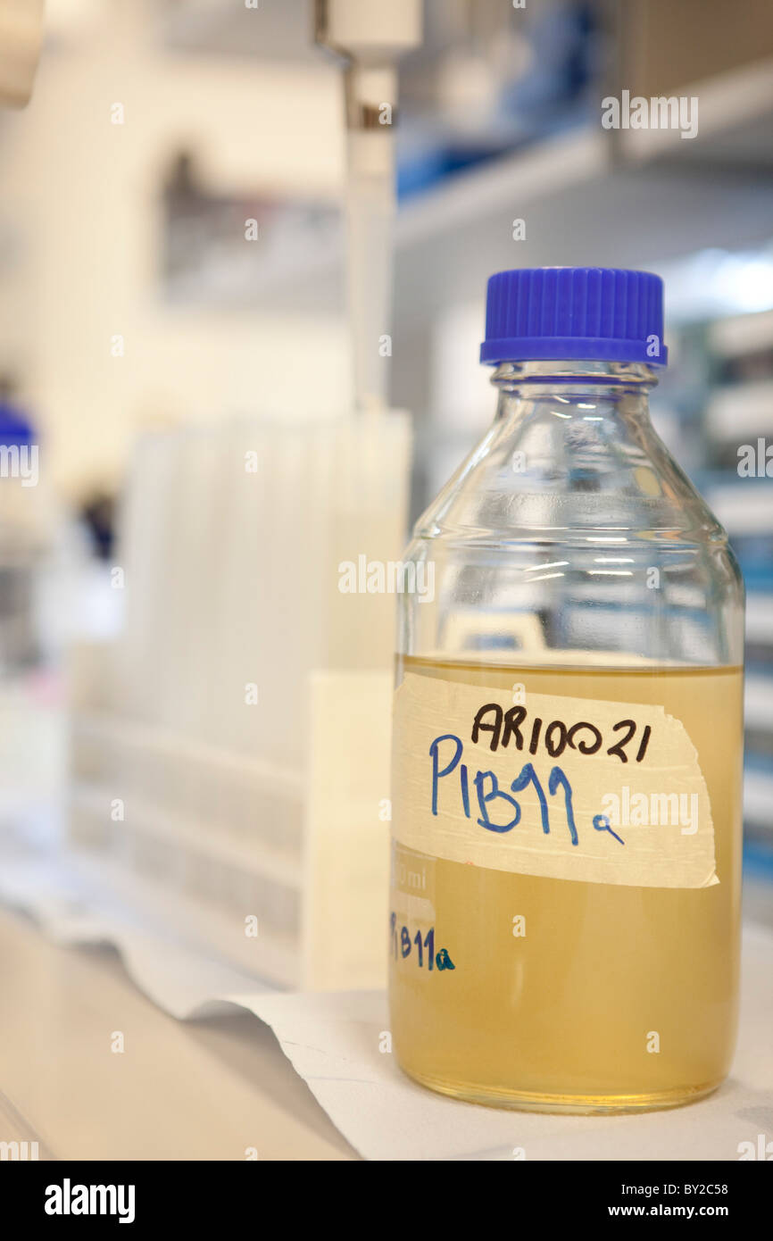 Scientists in University laboratory at Exeter Greenpeace Lab Stock ...