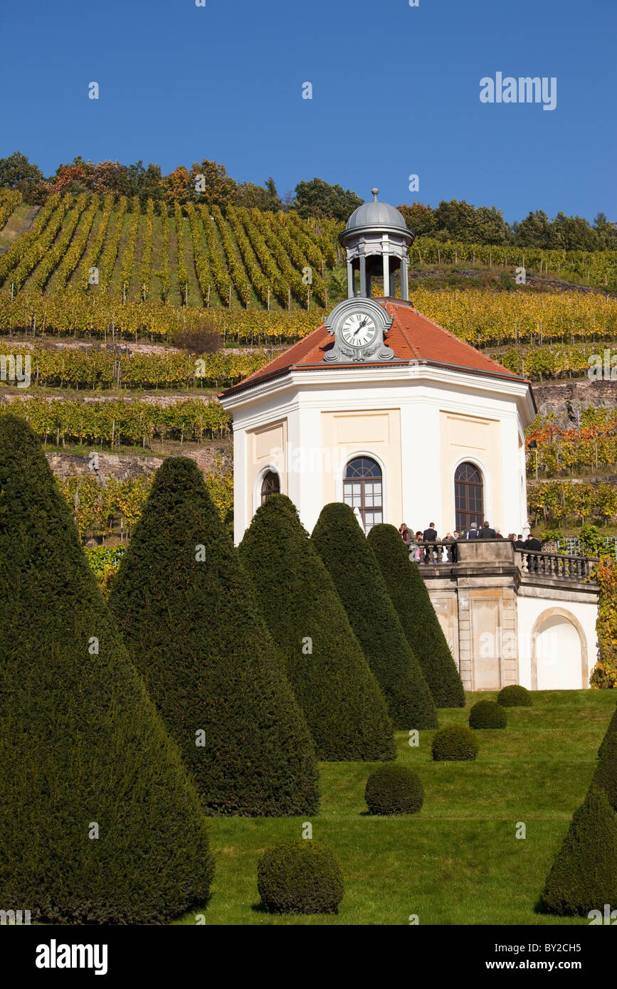 Germany,Saxony,Elbe Valley,Radebeul, Vineyard, Wackerbarth Castle ...