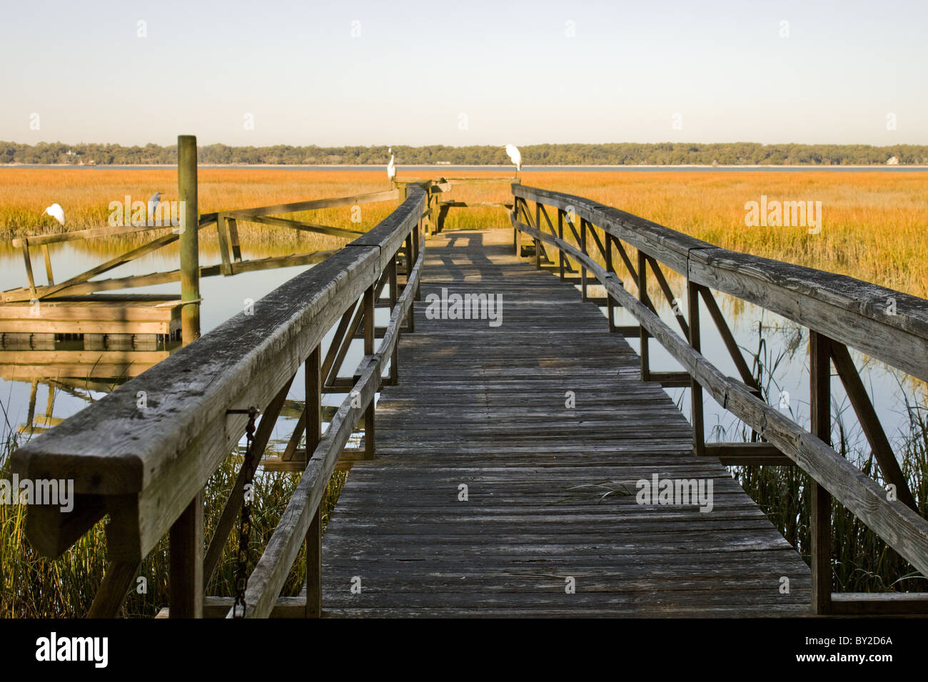 Dock on the Marsh, Hilton Head Islanda Stock Photo Alamy