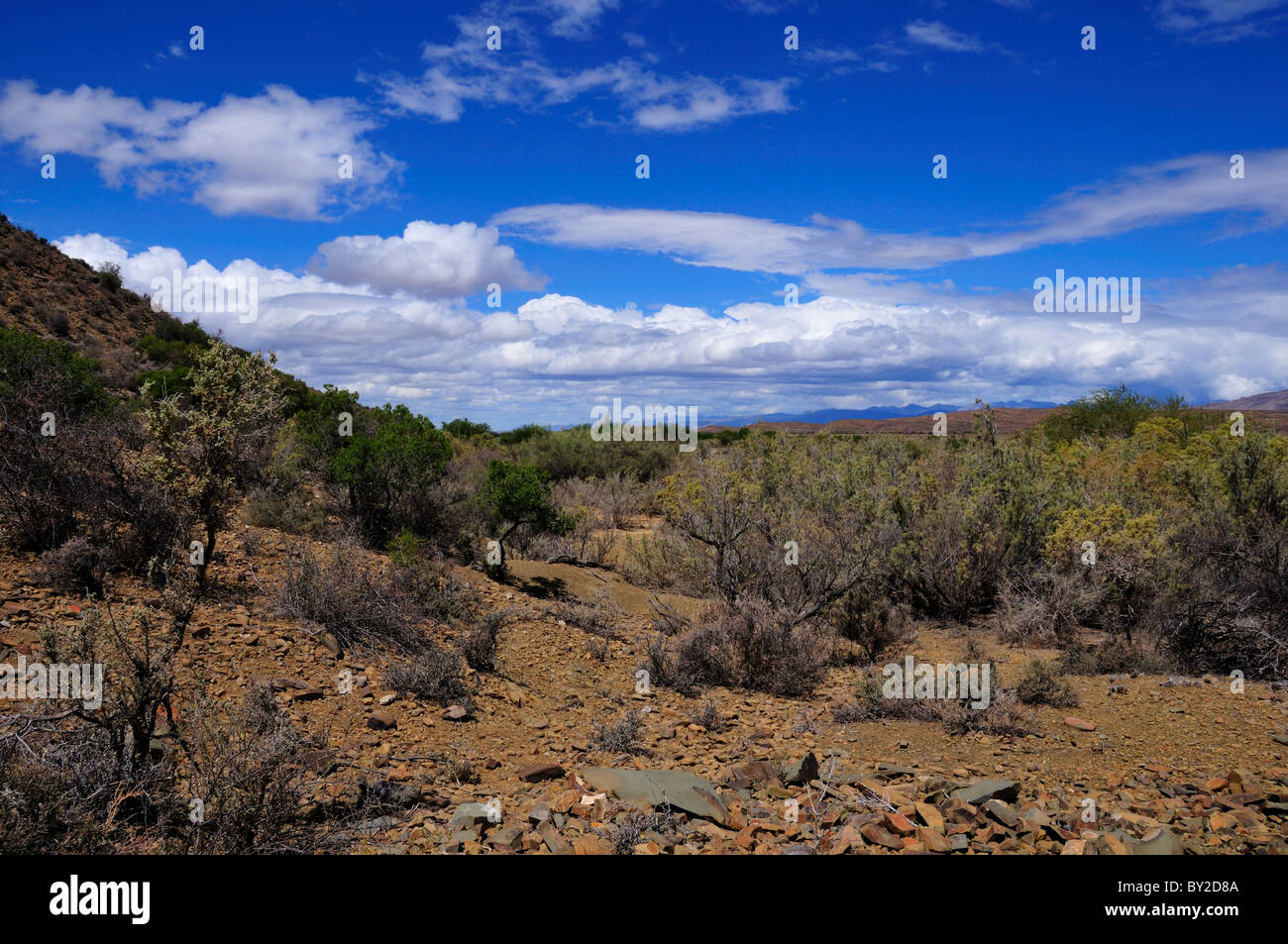 Desert landscape of Karoo basin, South Africa. Stock Photo