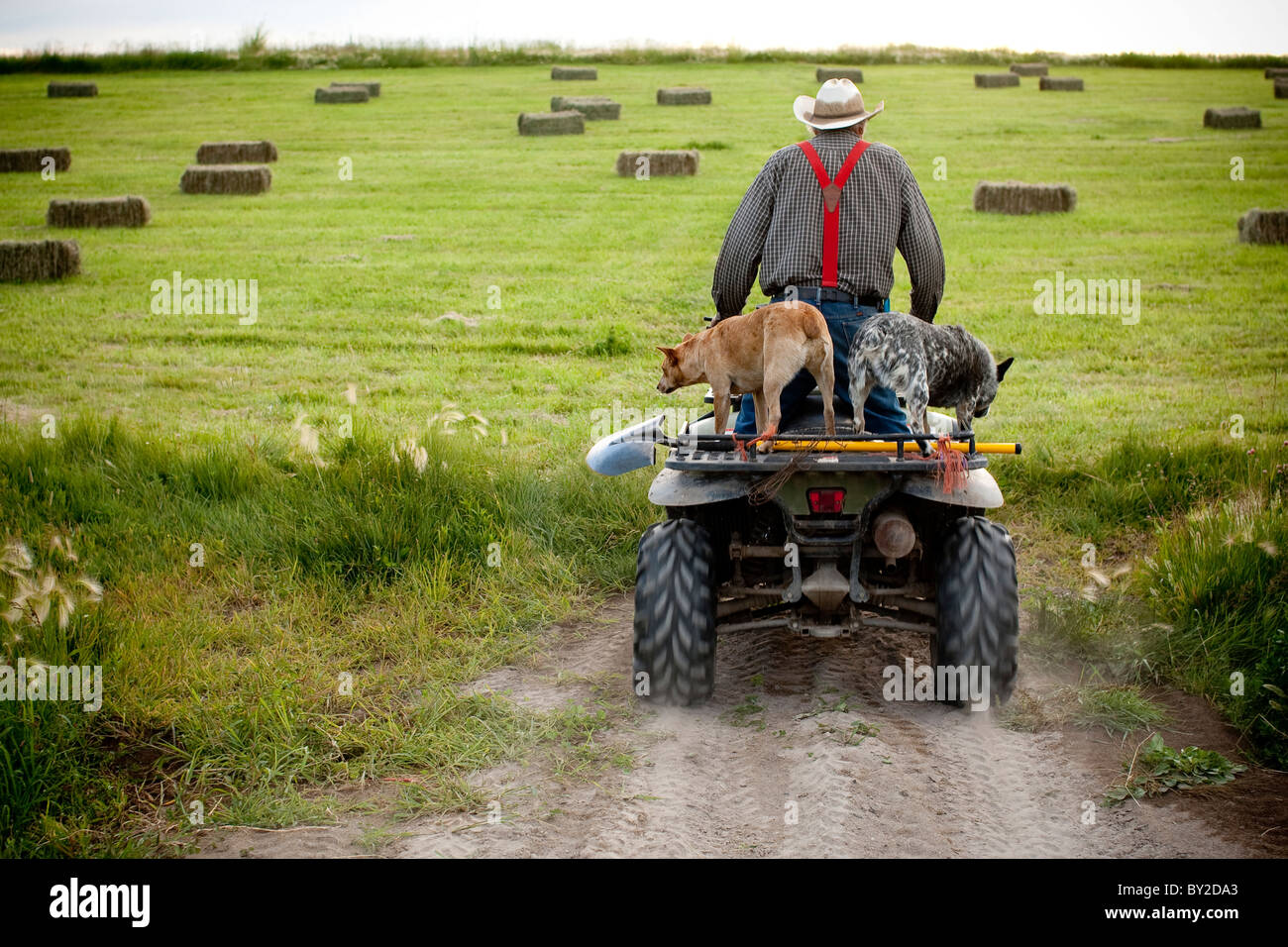 Rancher on atv hi-res stock photography and images - Alamy