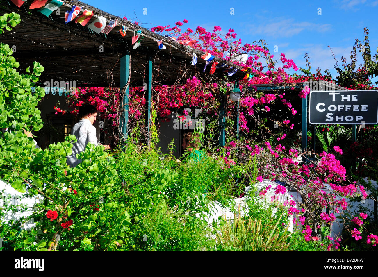Colorful flowers decorate a patio café. Prince Albert, South Africa