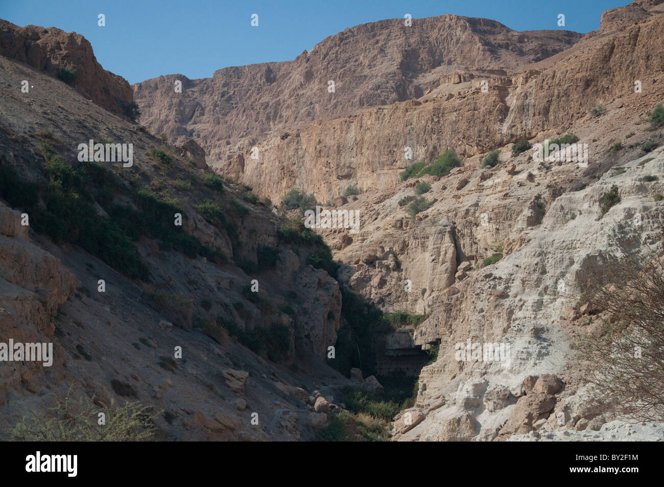A view of the waterfall at Ein Gedi National Park. Stock Photo