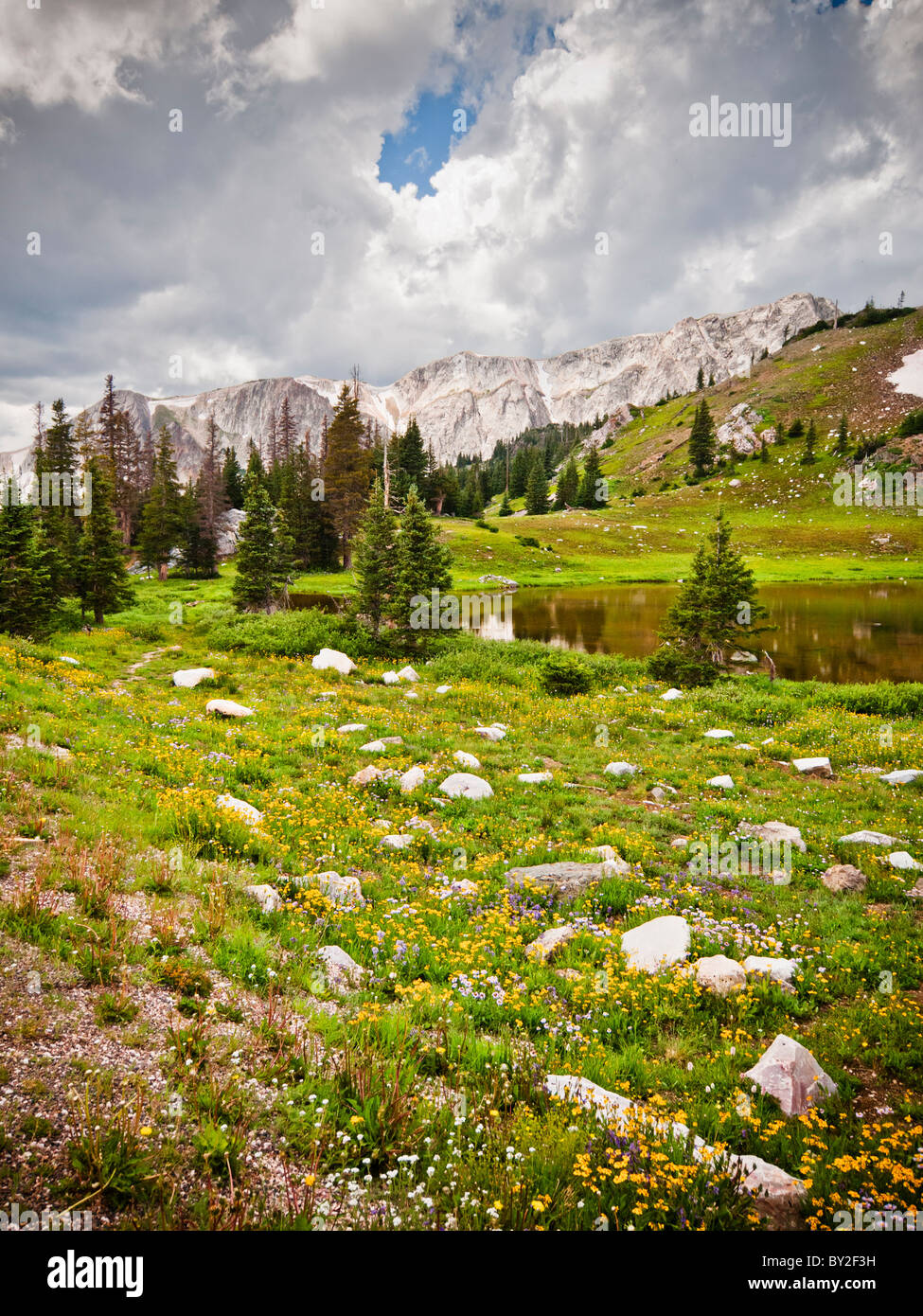 Medicine Bow Mountain national forest, A Wyoming national park Stock