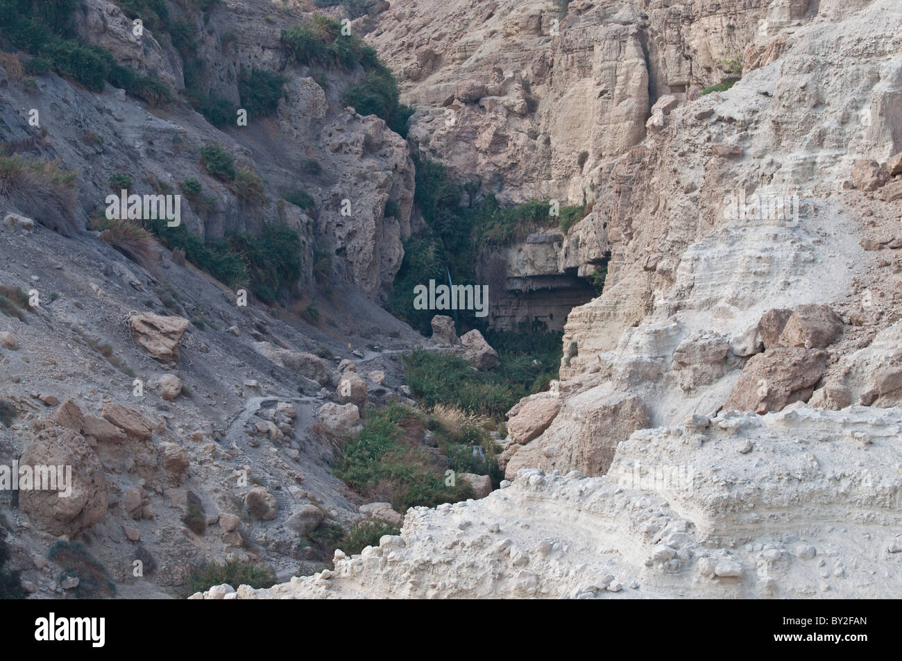 A view of the waterfall at Ein Gedi National Park. Stock Photo