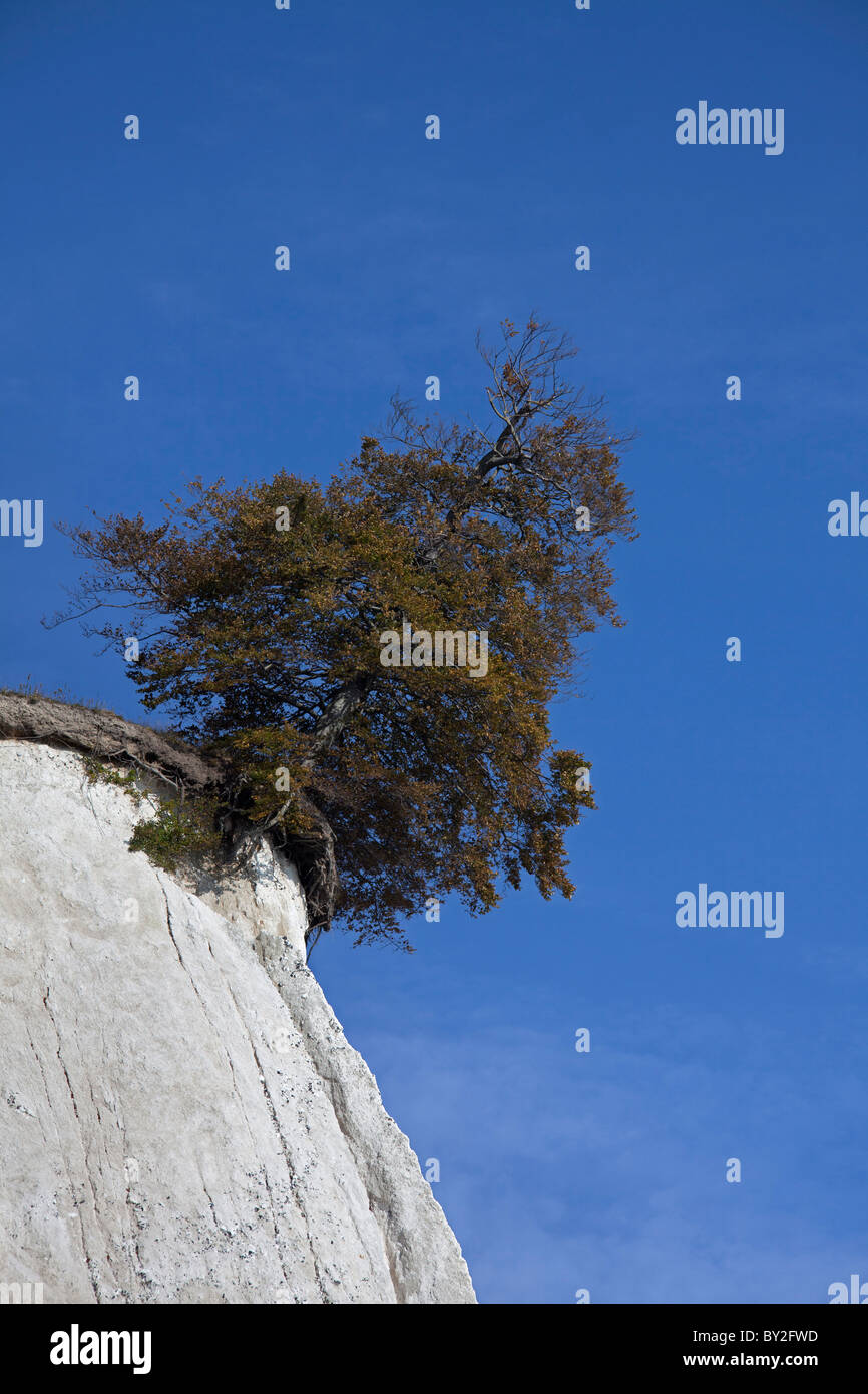 Rock erosion and trees hi-res stock photography and images - Alamy