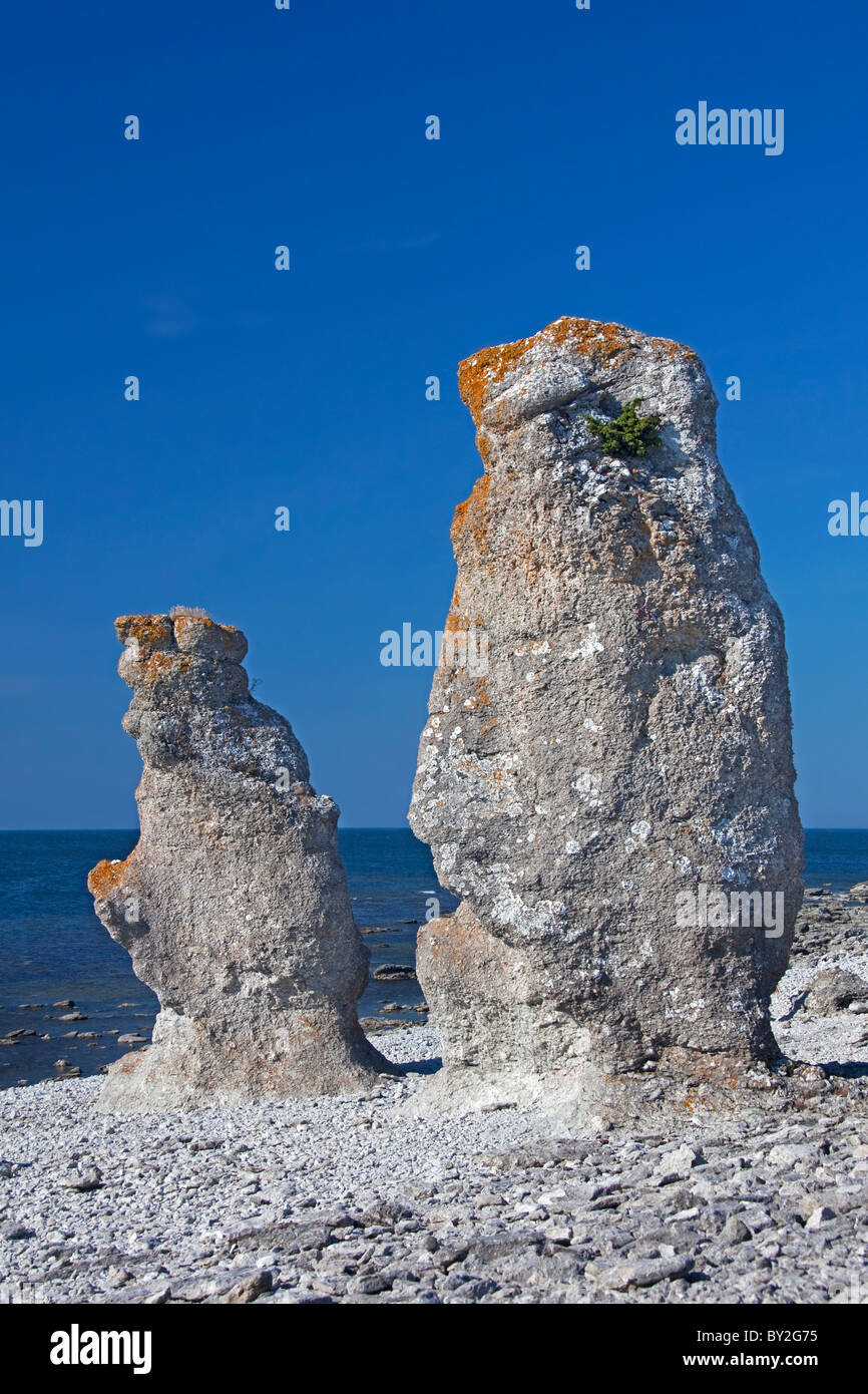 Limestone sea stacks / raukar at Langhammar, Gotland, Sweden Stock Photo