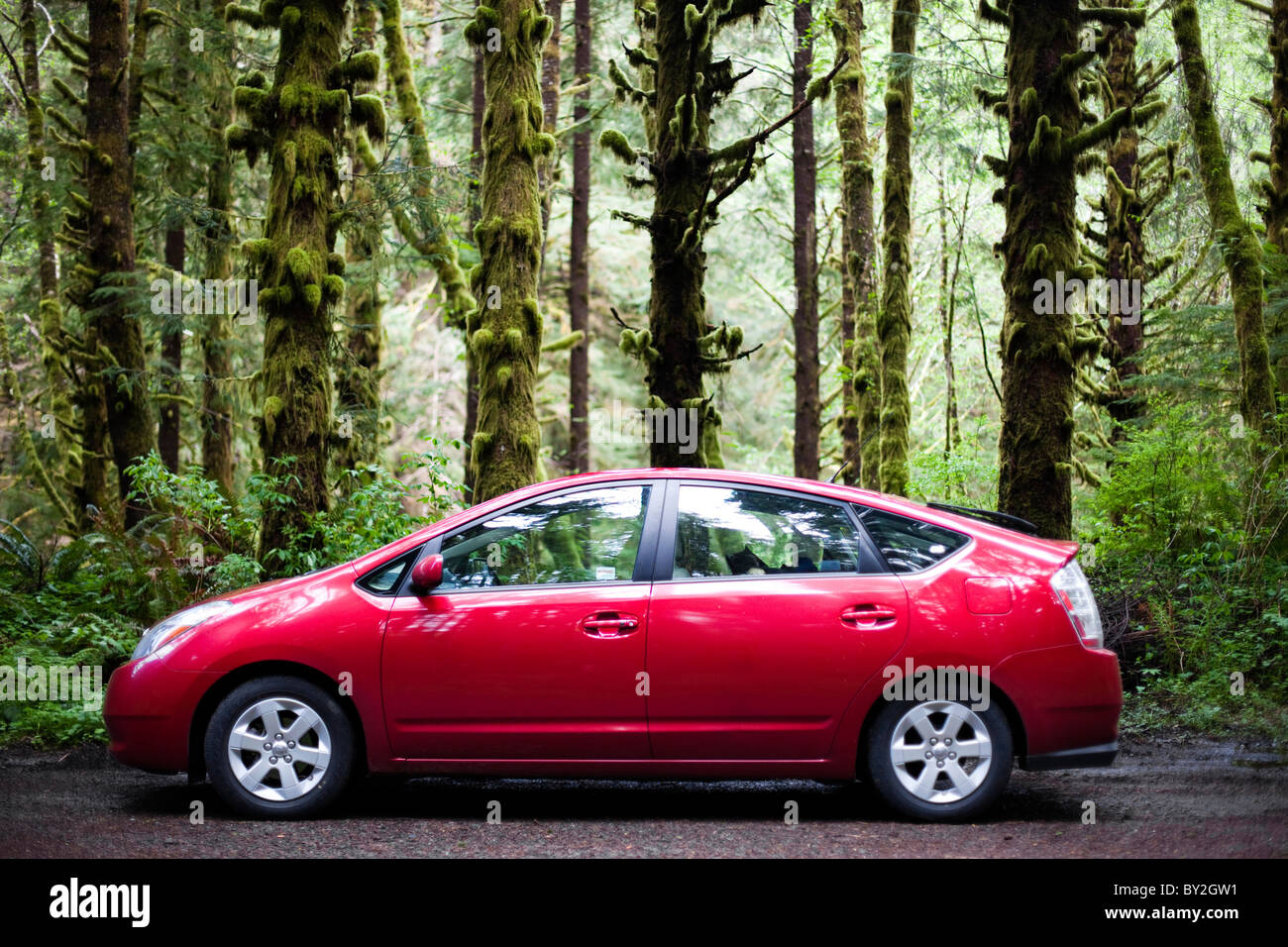 A red hybrid vehicle sits in a mossy, green forest. Stock Photo