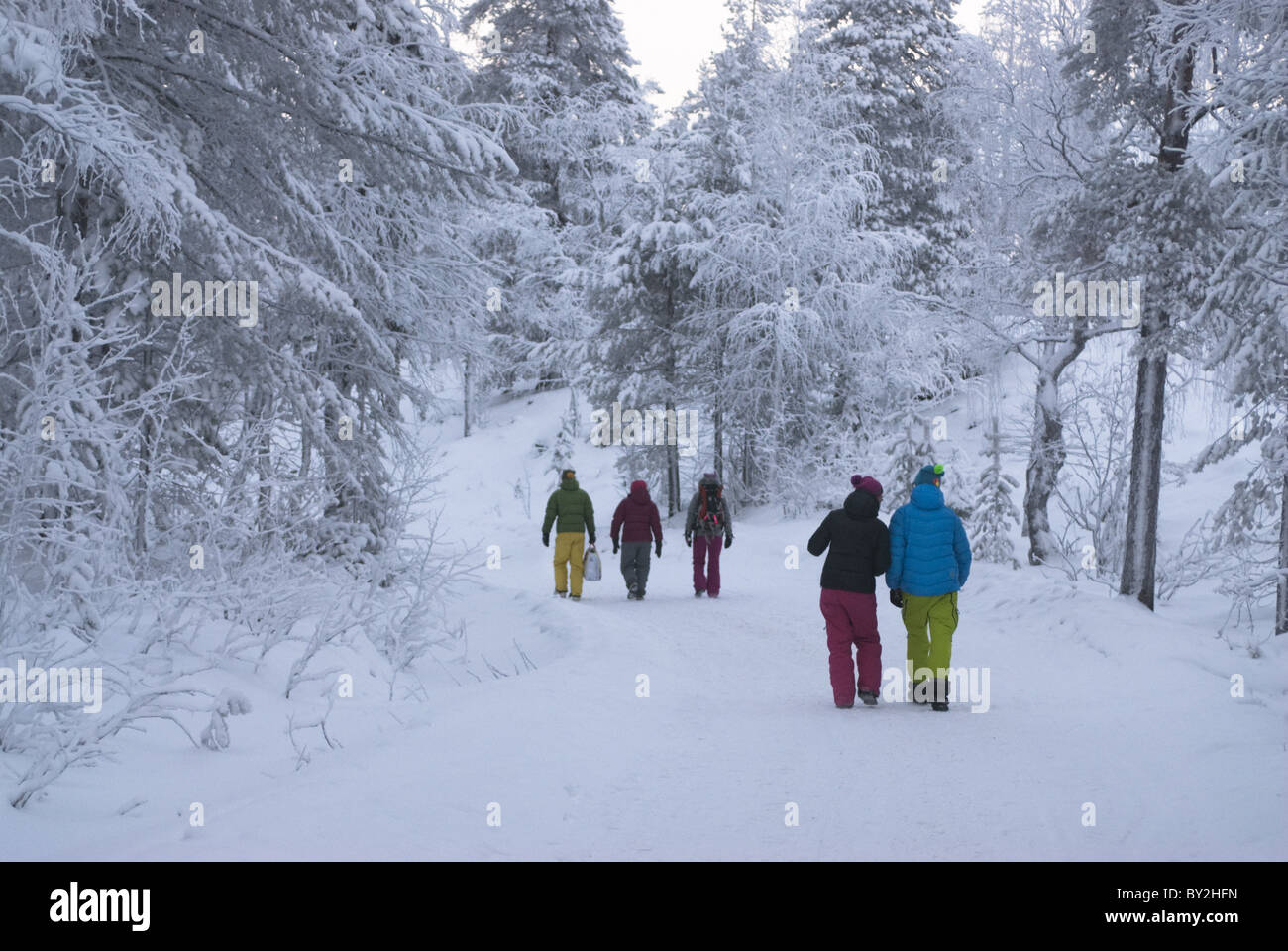 A group of colorfully dressed young adults walking among snow-clad trees at Pyhätunturi, Finnish Lapland. Stock Photo