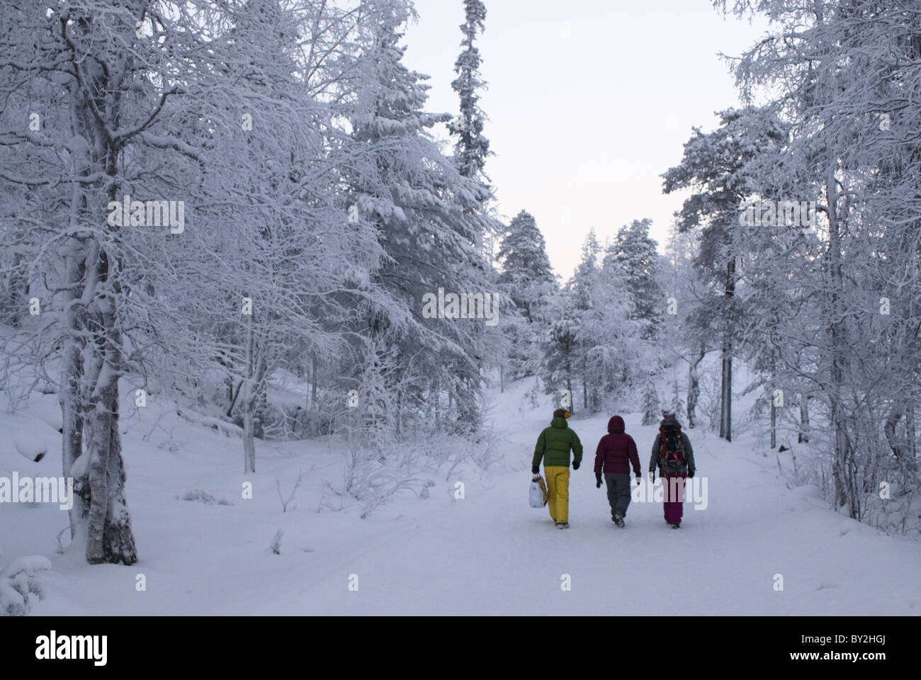 A group of colorfully dressed young adults walking among snow-clad trees at Pyhätunturi, Finnish Lapland. Stock Photo