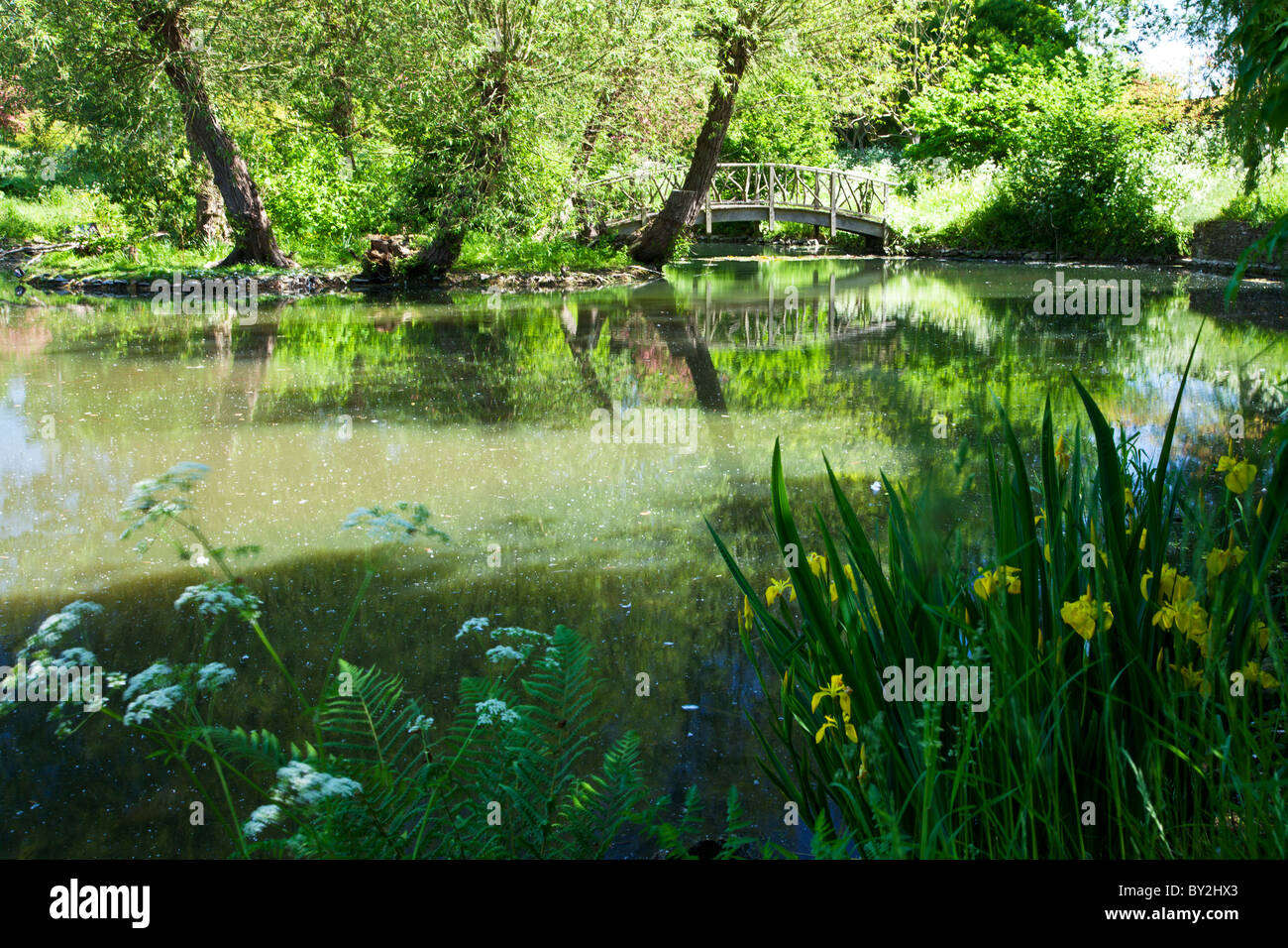 A large ornamental pond or small lake with a rustic wooden bridge in an English country garden in summer Stock Photo