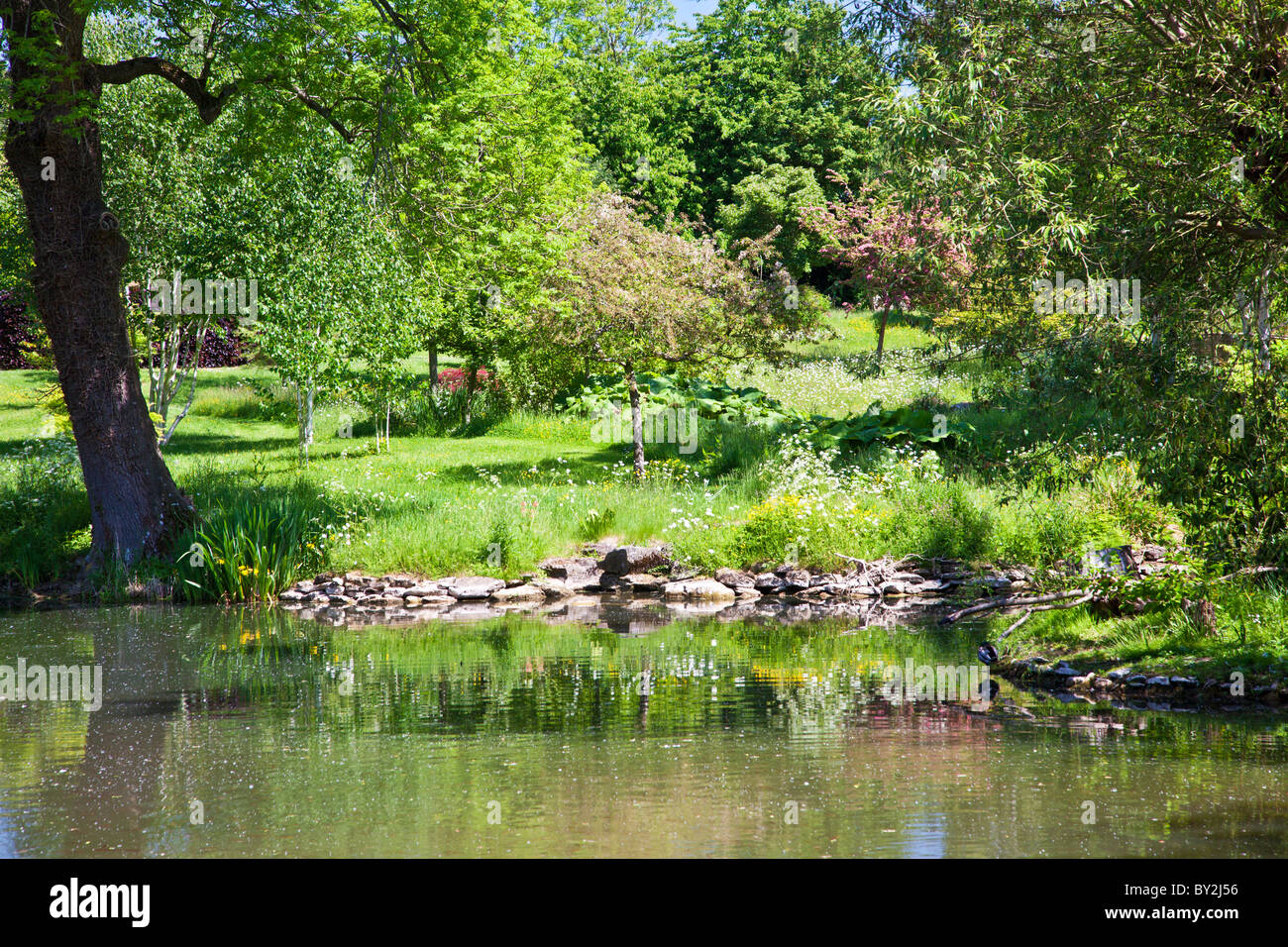 A large ornamental pond or small lake in an English country garden in summer Stock Photo